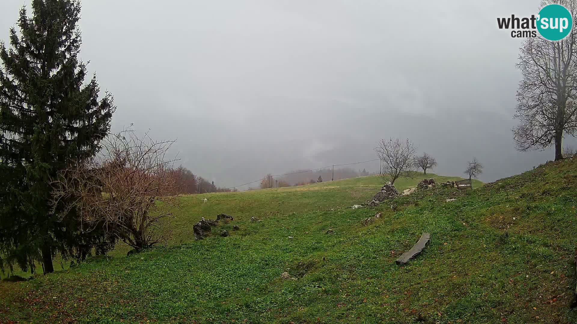 Slajka camera en vivo | Gorenja Vas | Eslovenia