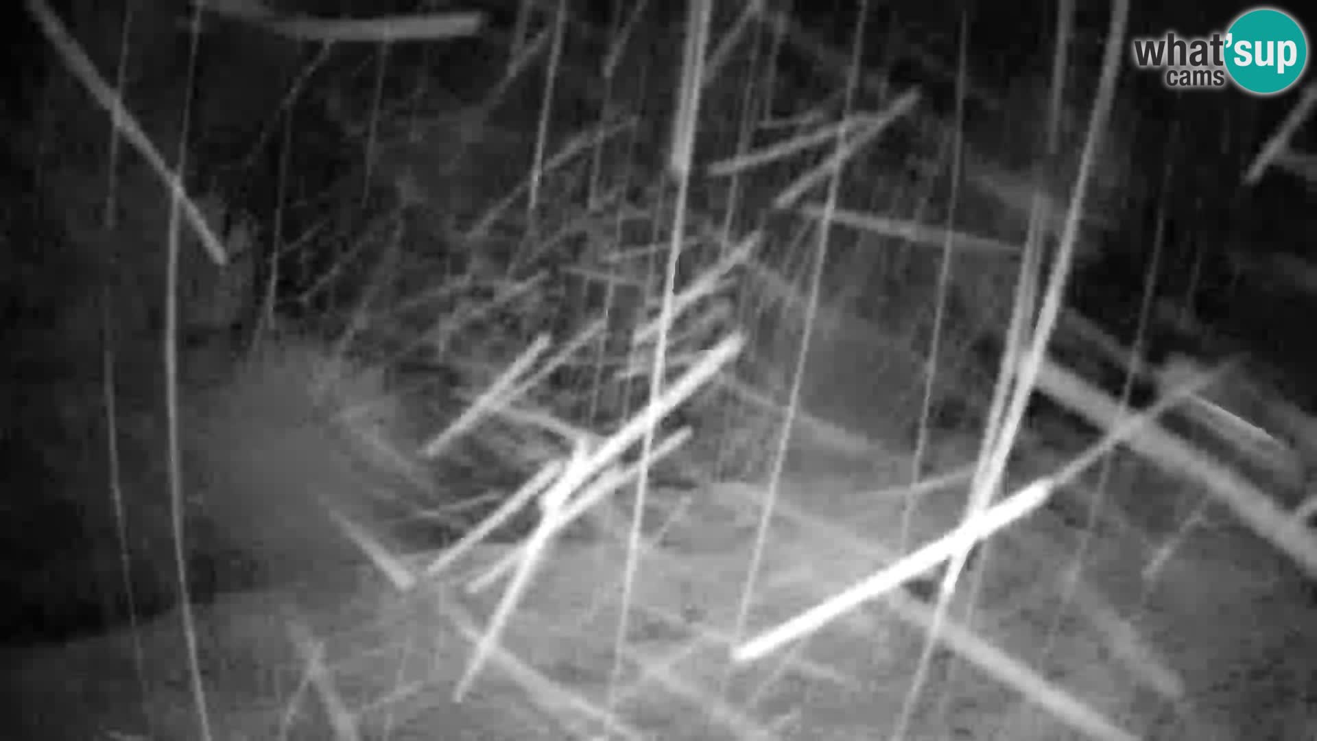 Slajka webcam | Gorenja Vas | Slowenien