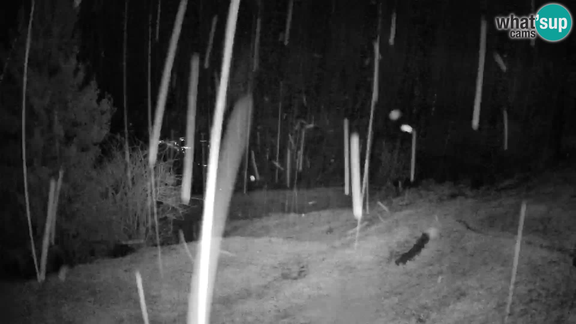 Slajka webcam | Gorenja Vas | Slowenien