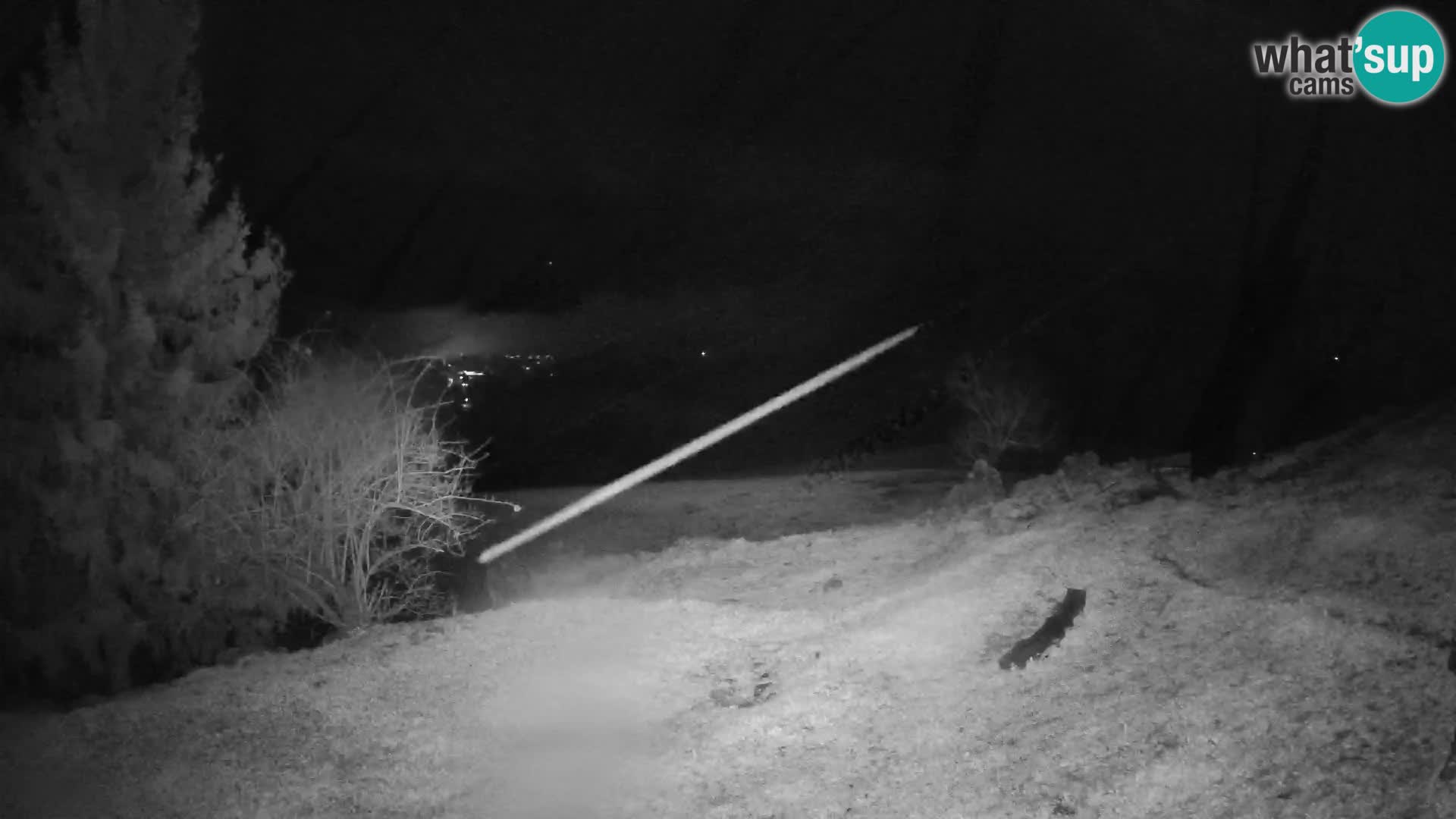 Slajka webam | Gorenja vas | Slovenia