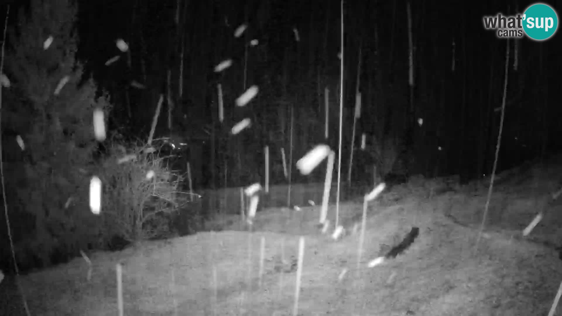 Slajka livecam | Gorenja Vas | Slovénie