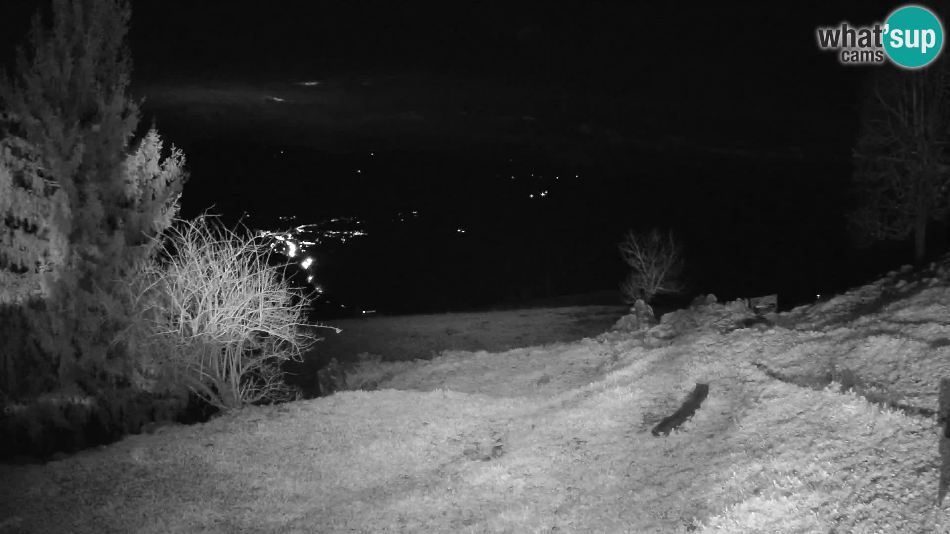 Slajka webam | Gorenja vas | Slovenia