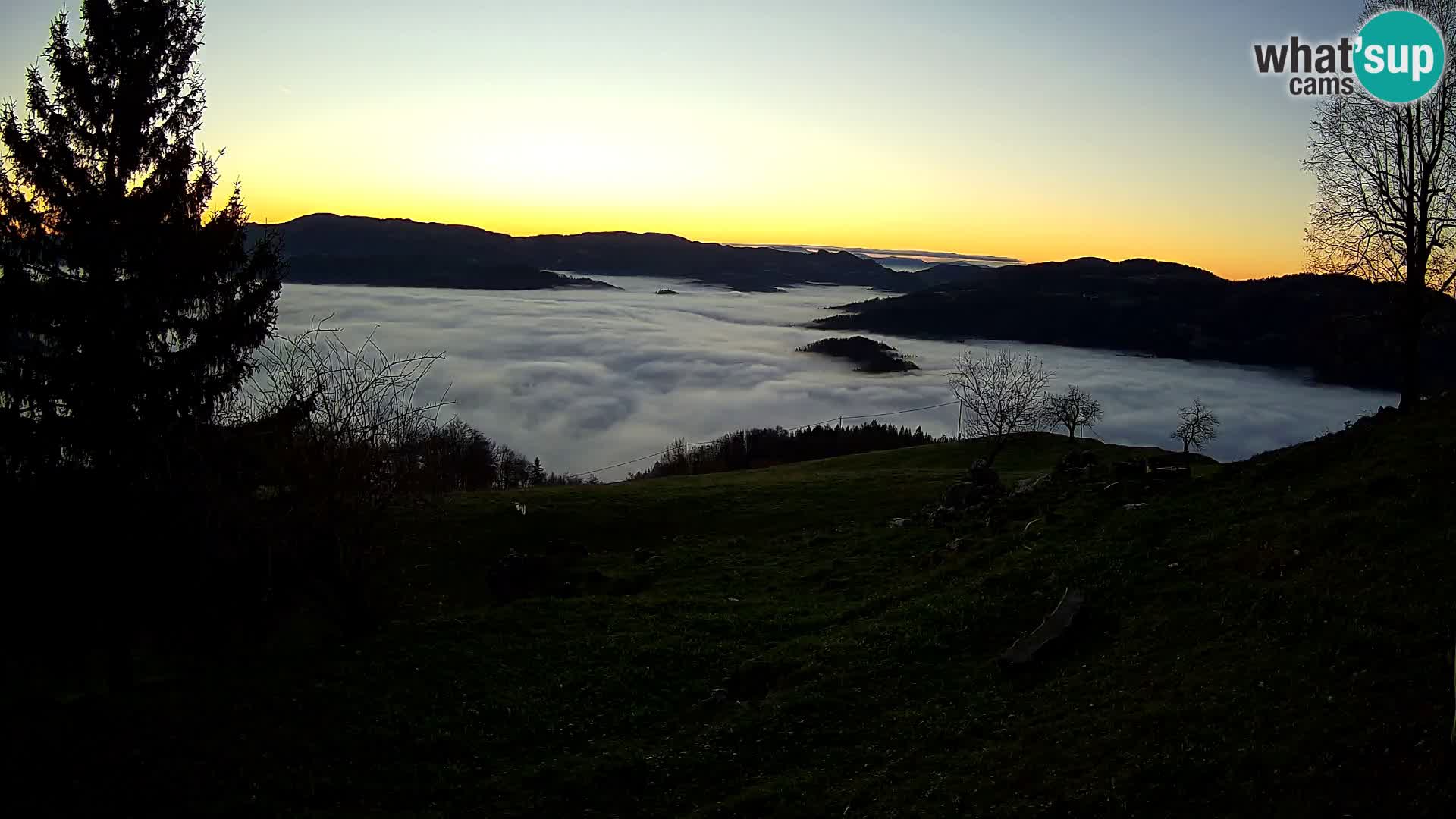 Slajka livecam | Gorenja Vas | Slovénie