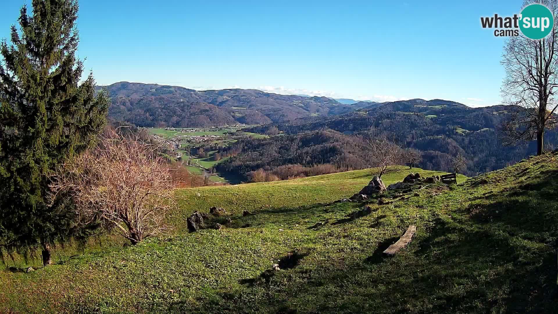 Slajka camera en vivo | Gorenja Vas | Eslovenia