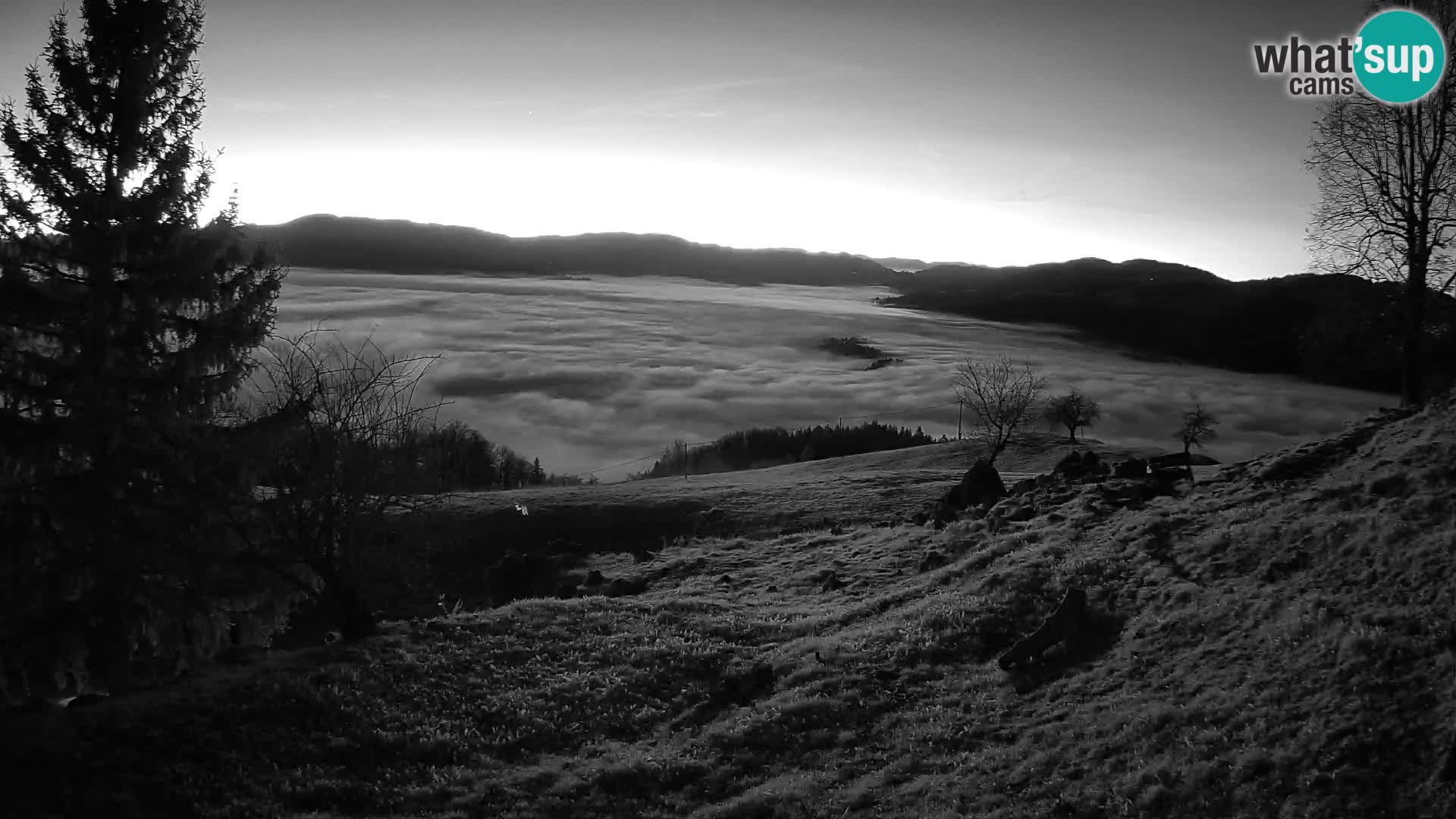 Slajka camera en vivo | Gorenja Vas | Eslovenia