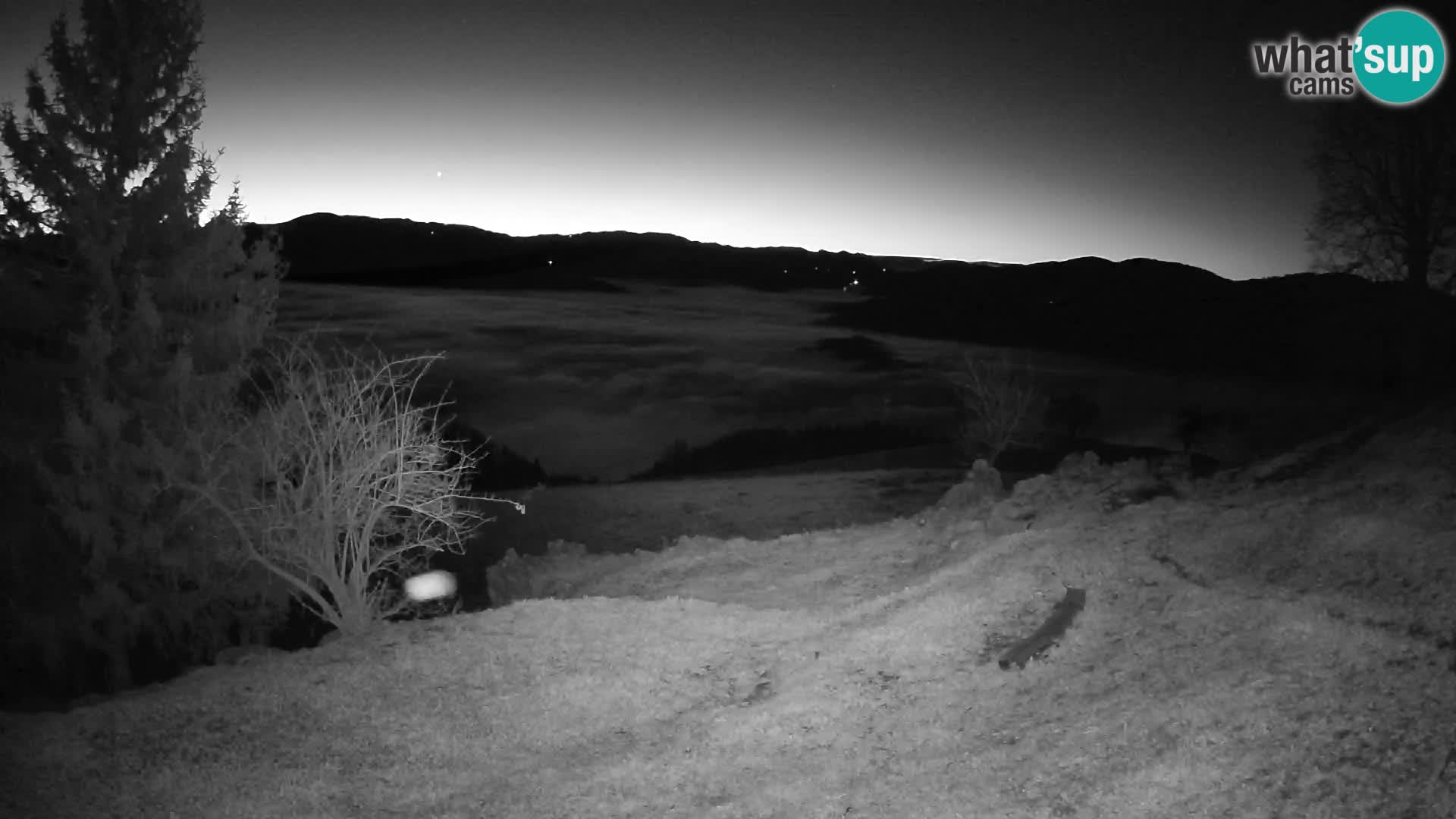 Slajka camera en vivo | Gorenja Vas | Eslovenia