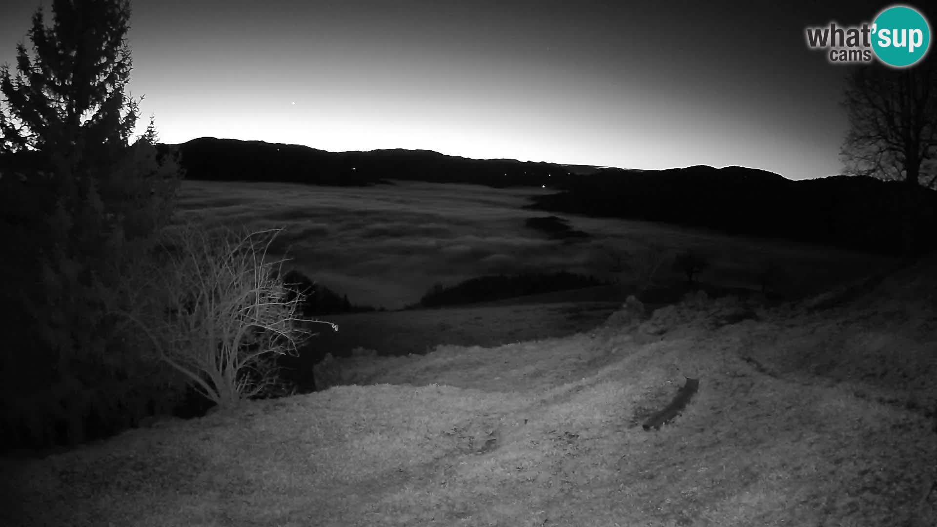 Slajka webam | Gorenja vas | Slovenia