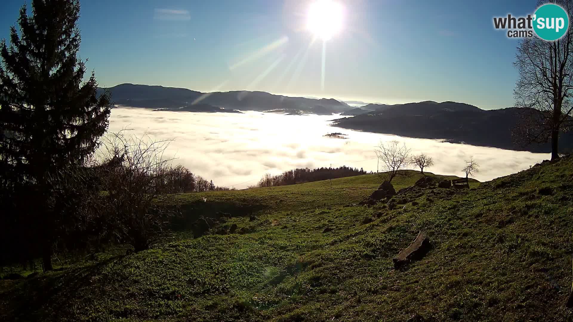 Slajka webam | Gorenja vas | Slovenia