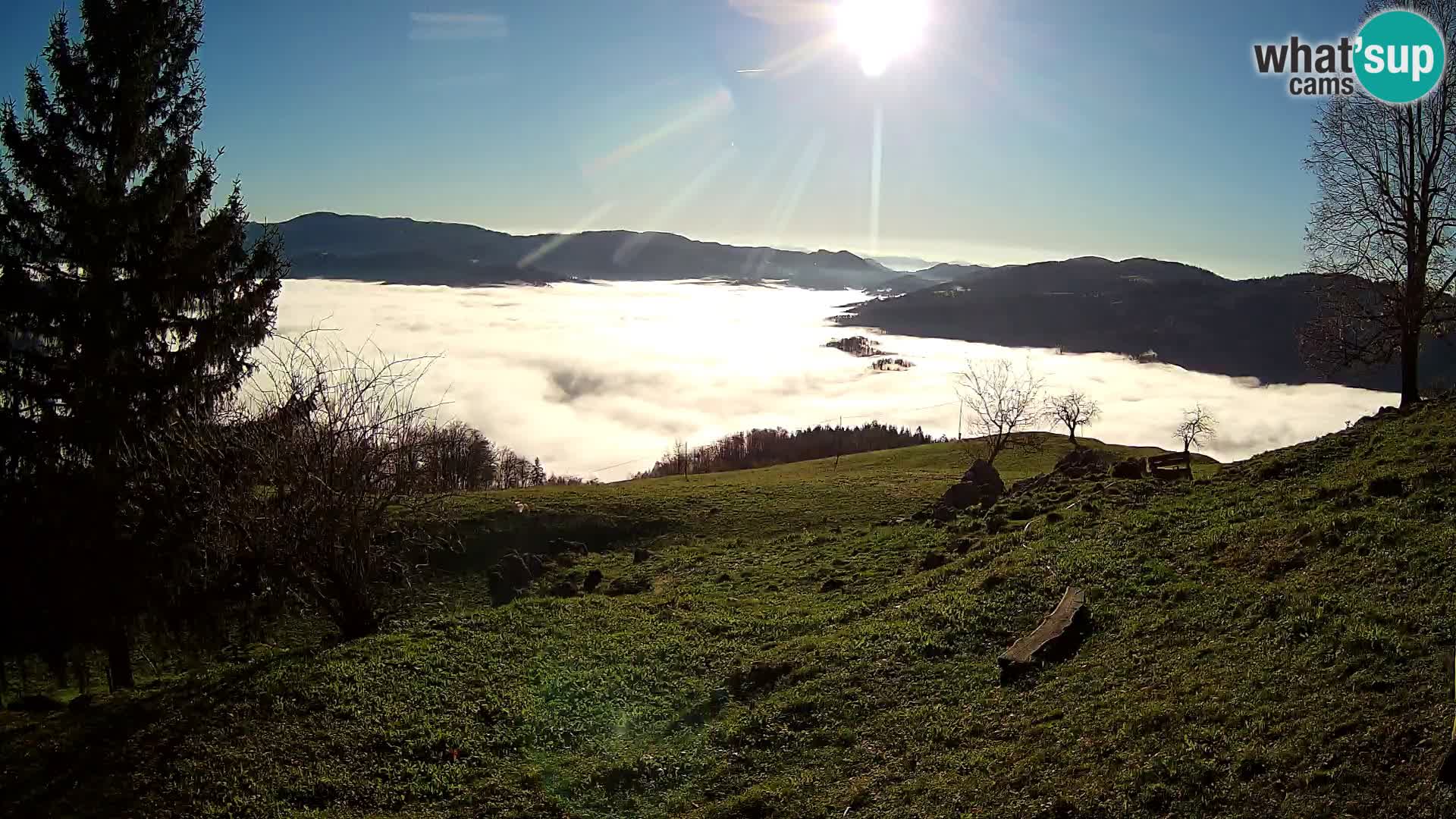 Slajka camera en vivo | Gorenja Vas | Eslovenia