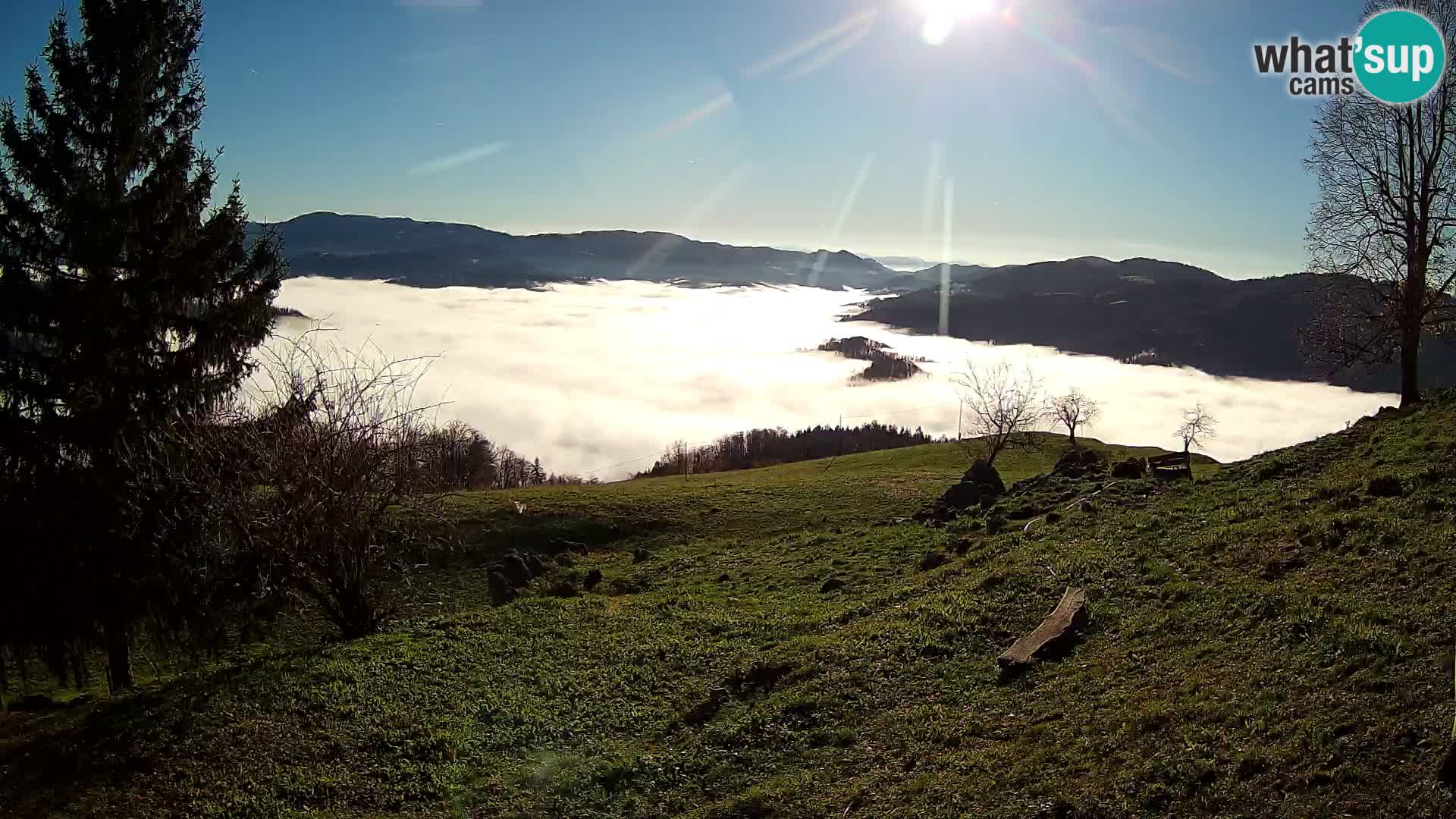 Slajka webcam | Gorenja Vas | Slowenien