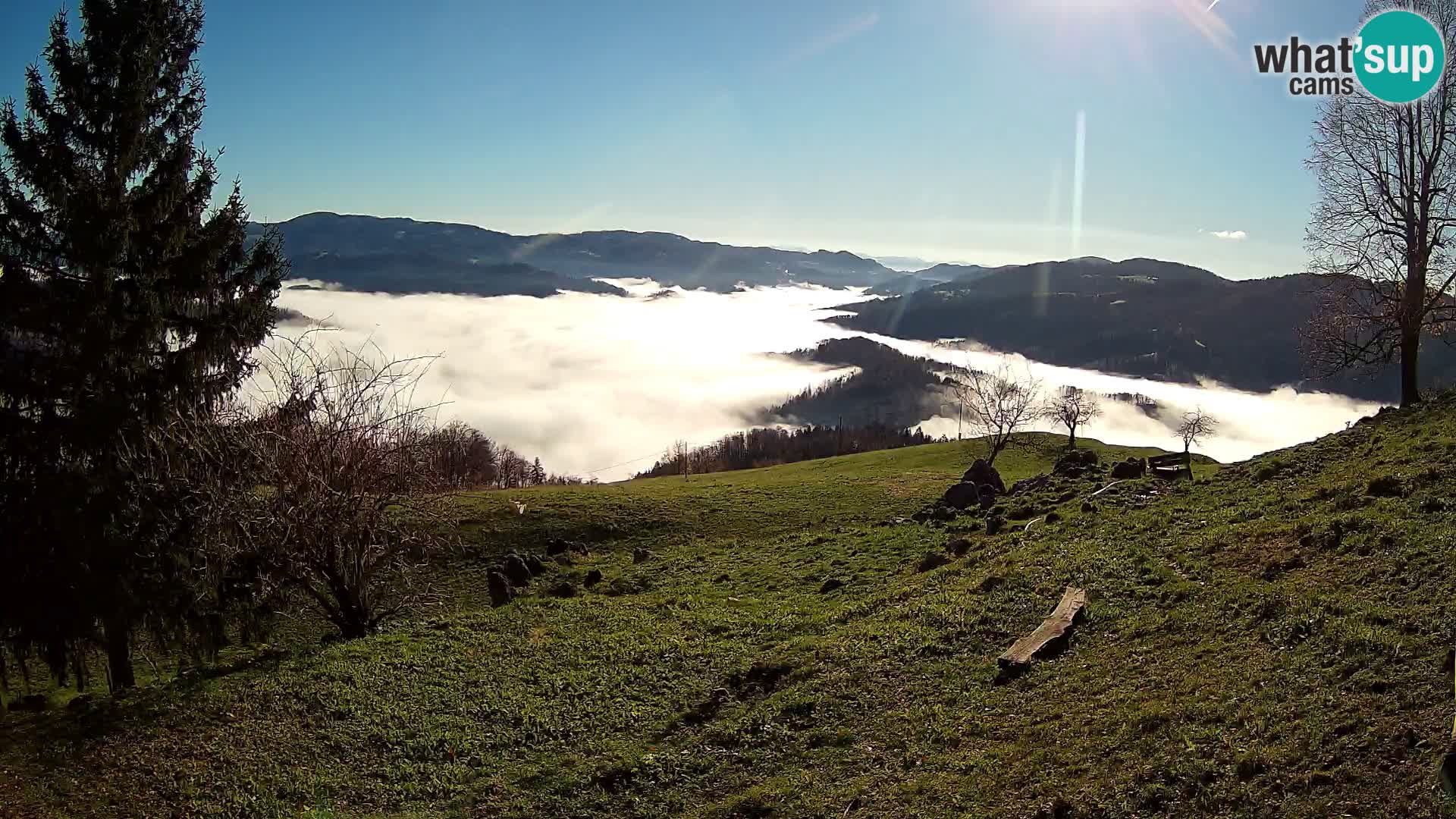 Slajka webcam | Gorenja Vas | Slowenien