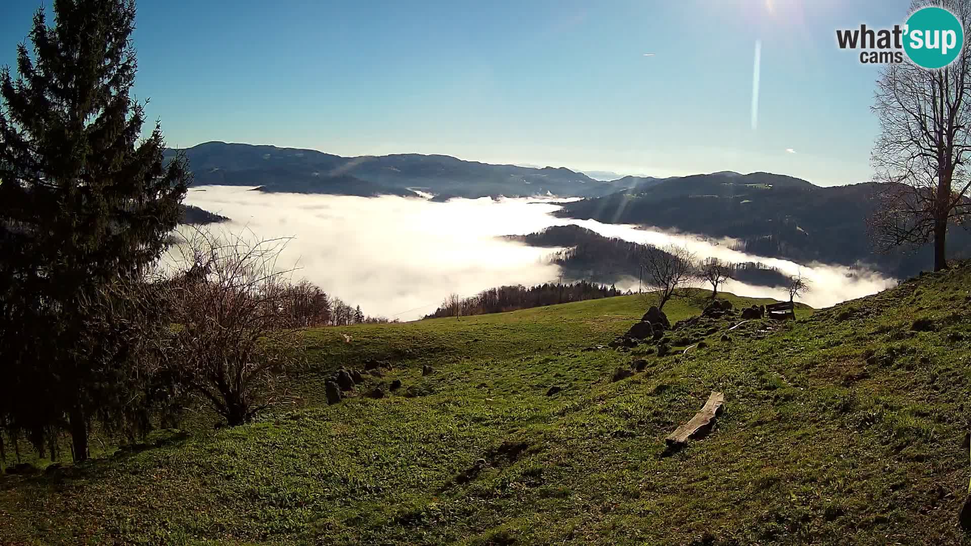 Slajka camera en vivo | Gorenja Vas | Eslovenia