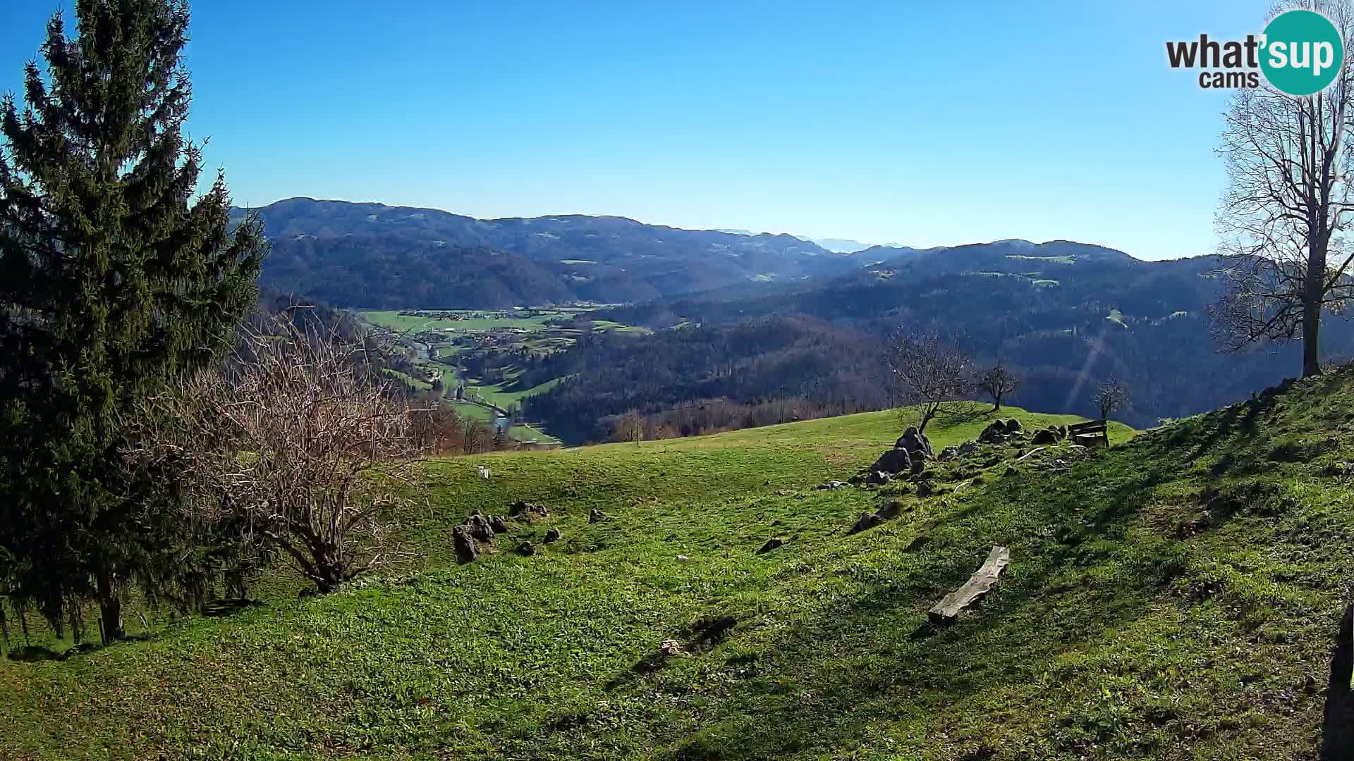 Slajka camera en vivo | Gorenja Vas | Eslovenia