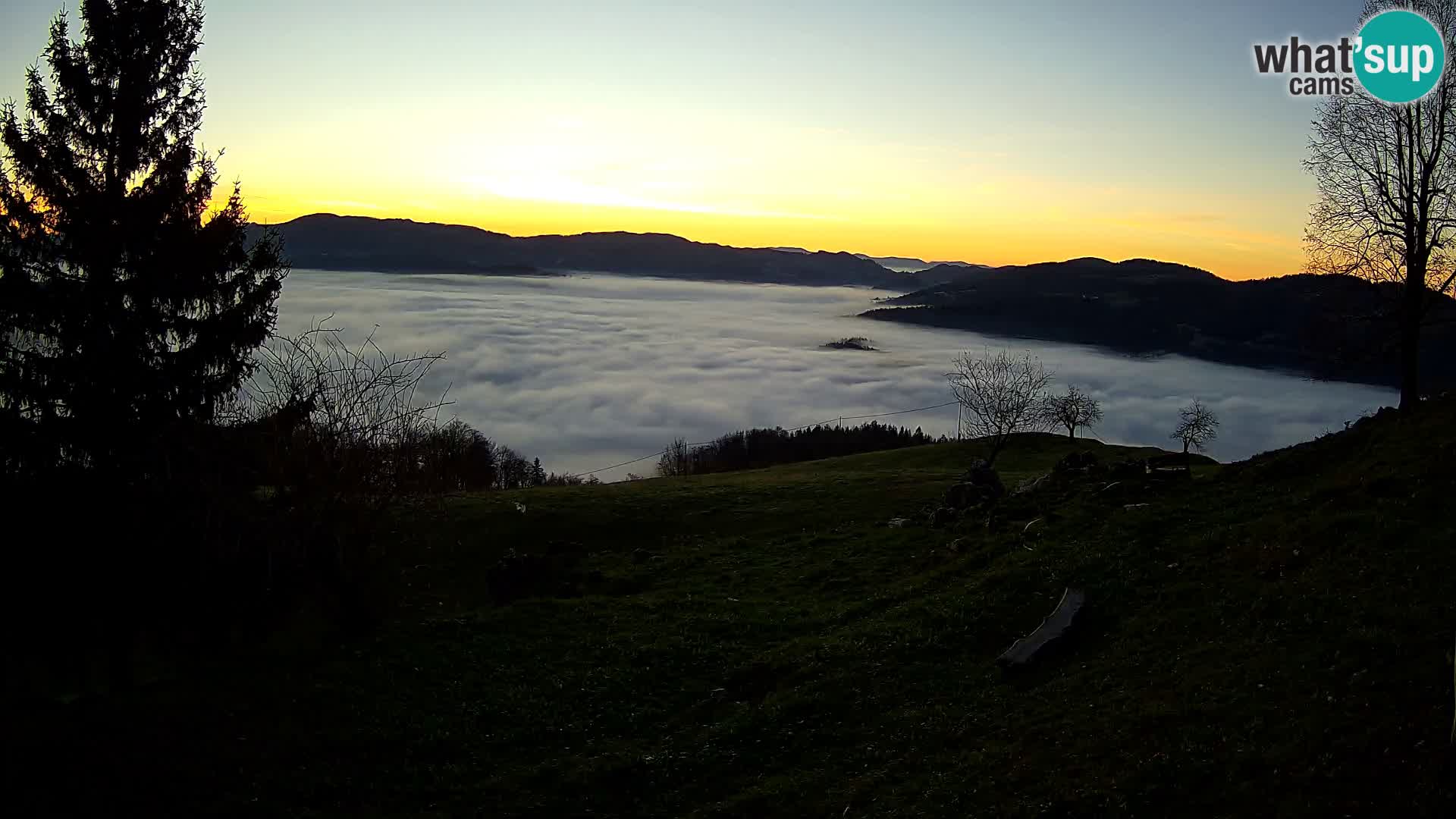 Slajka webam | Gorenja vas | Slovenia