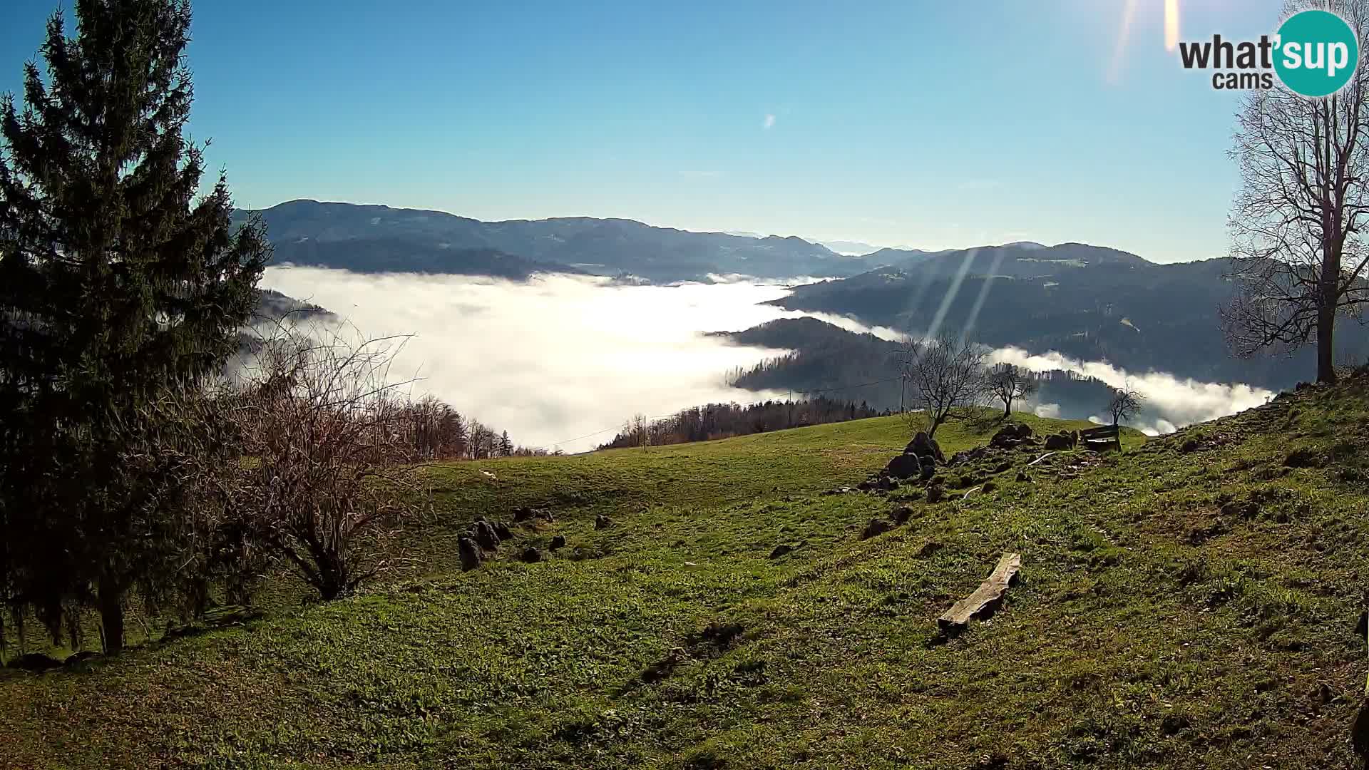 Slajka camera en vivo | Gorenja Vas | Eslovenia