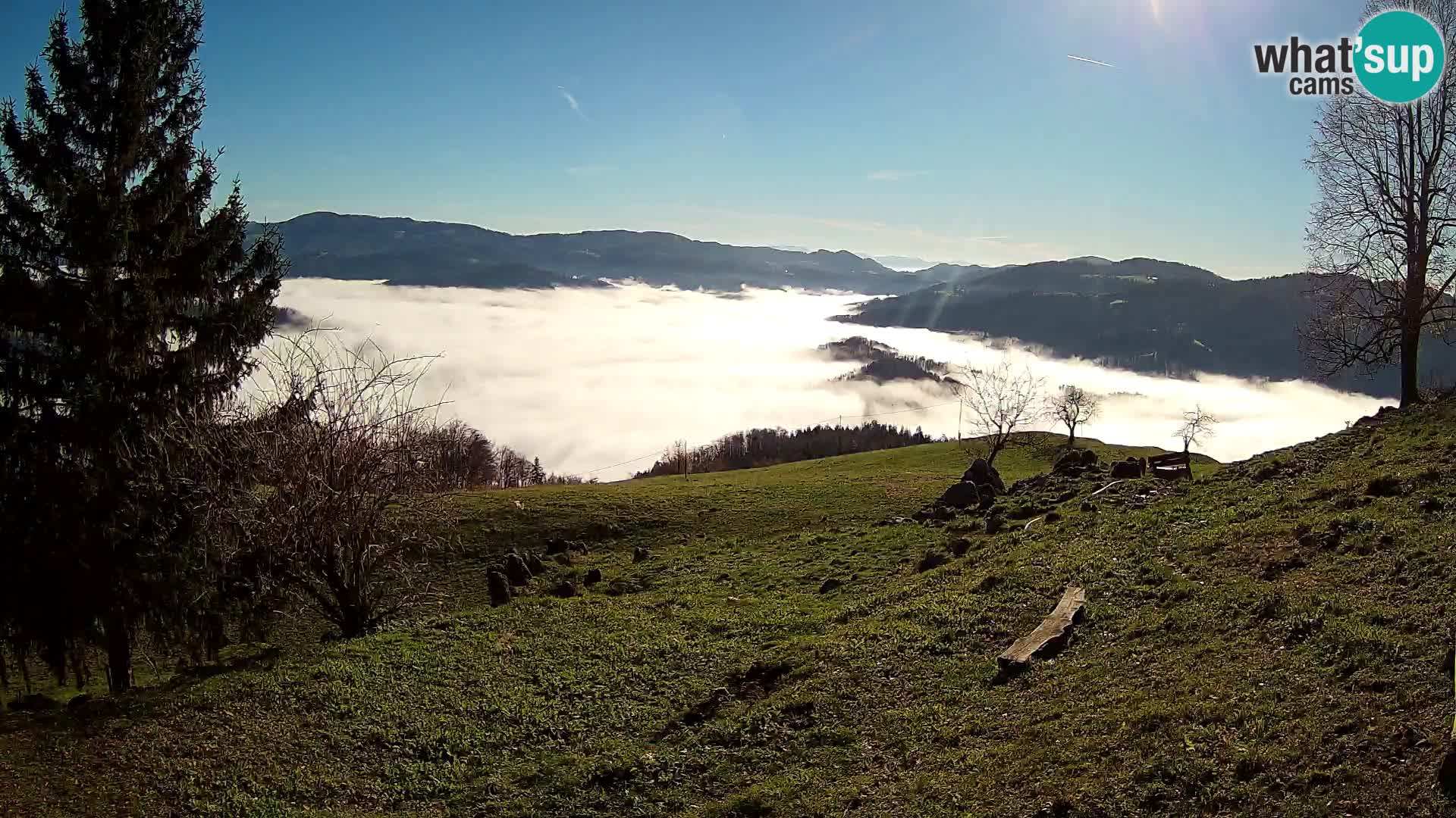 Slajka webam | Gorenja vas | Slovenia