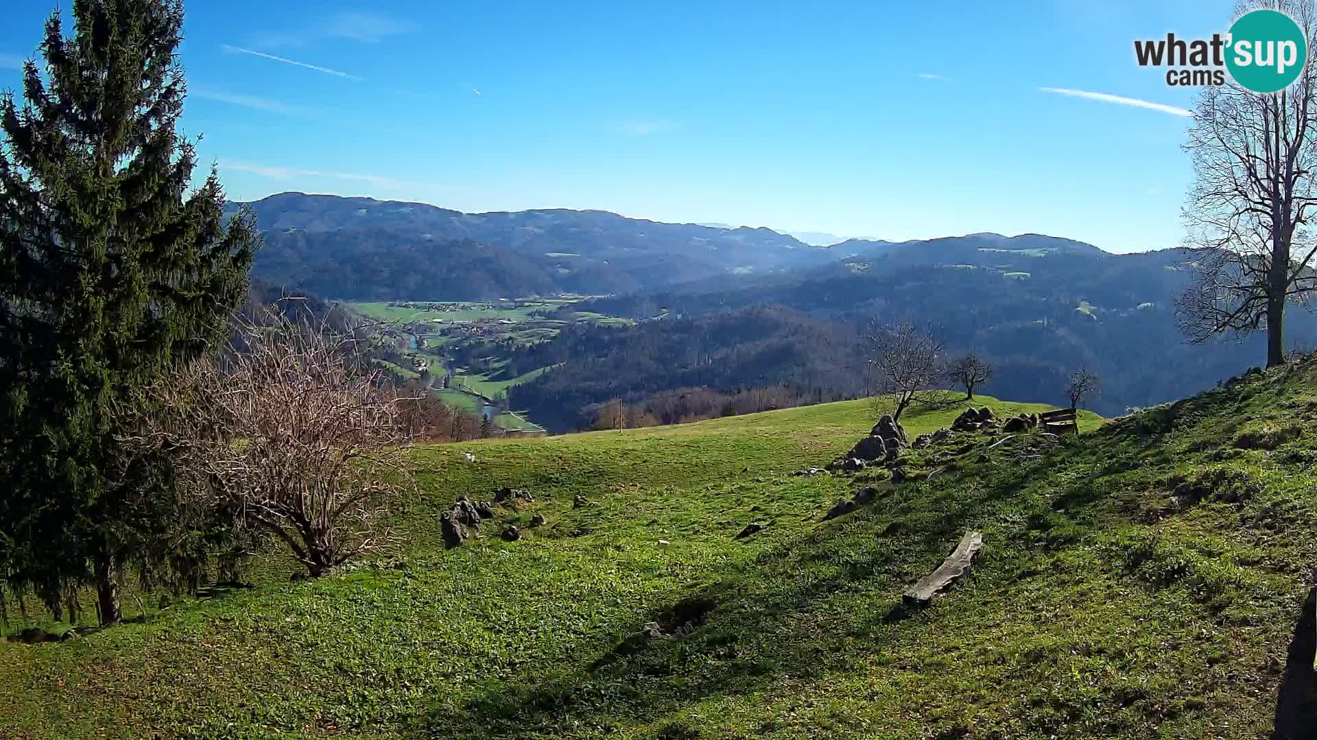 Slajka webam | Gorenja vas | Slovenia