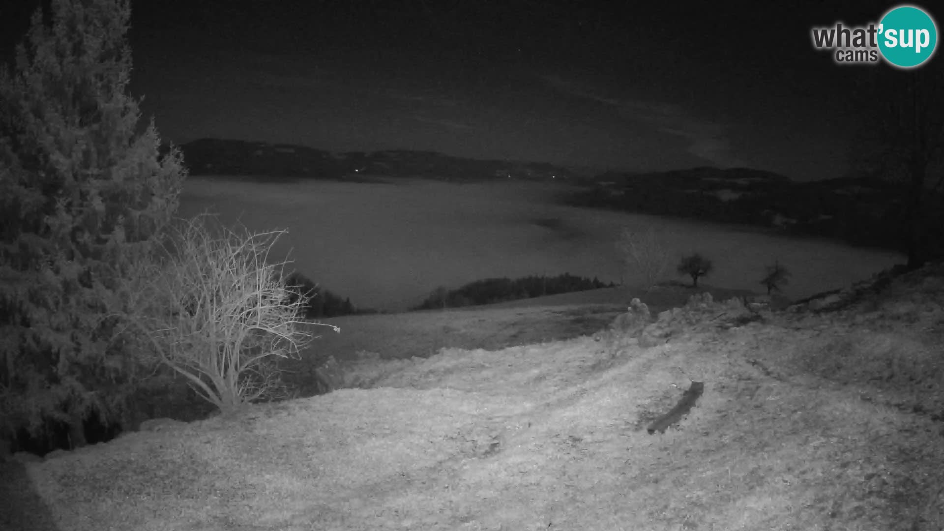 Slajka livecam | Gorenja Vas | Slovénie