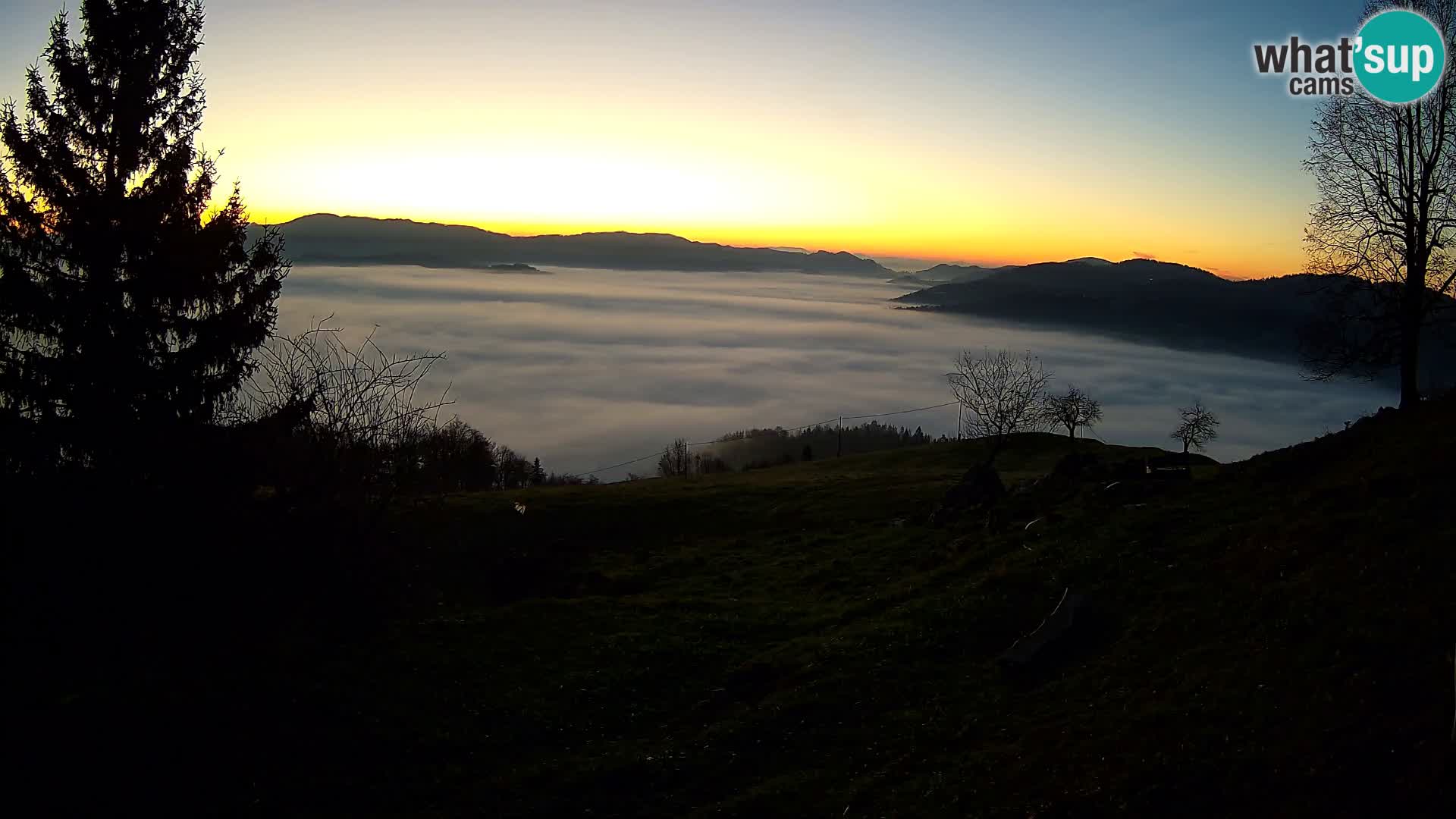 Slajka camera en vivo | Gorenja Vas | Eslovenia