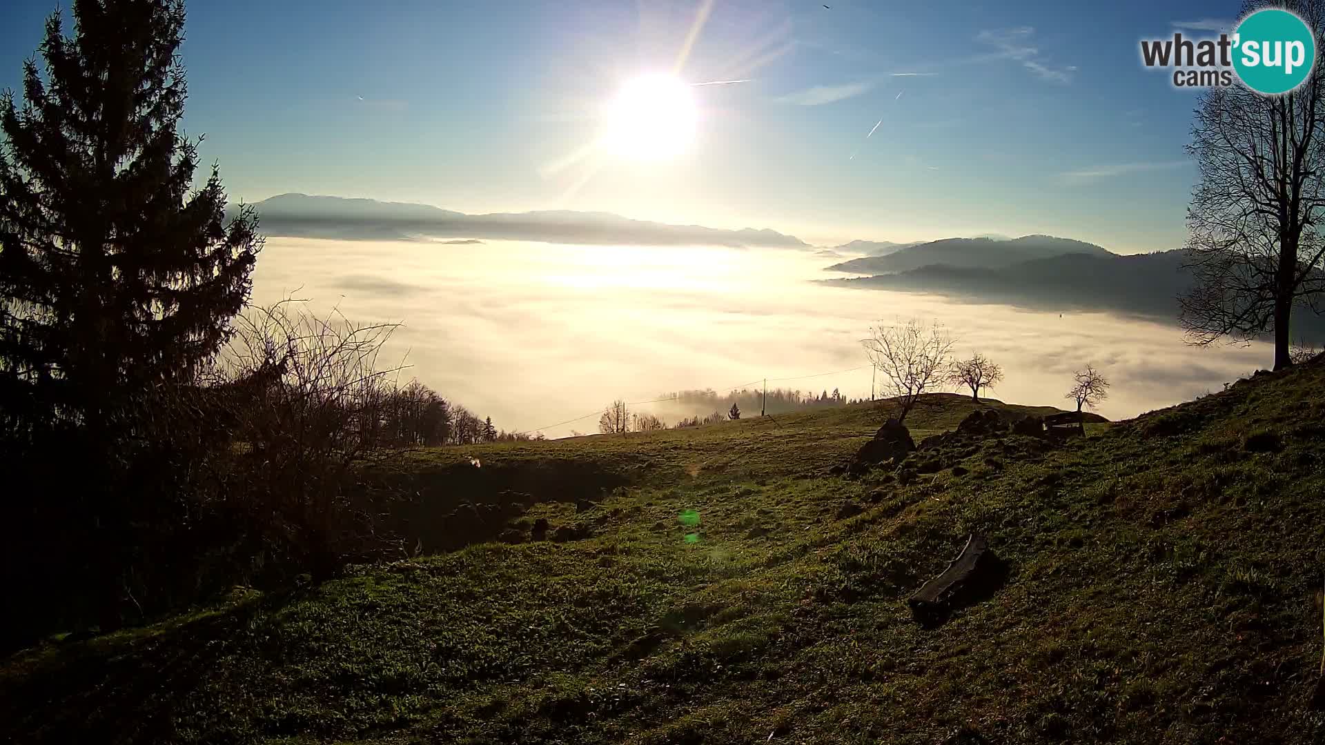 Slajka web kamera | Gorenja Vas | Slovenija