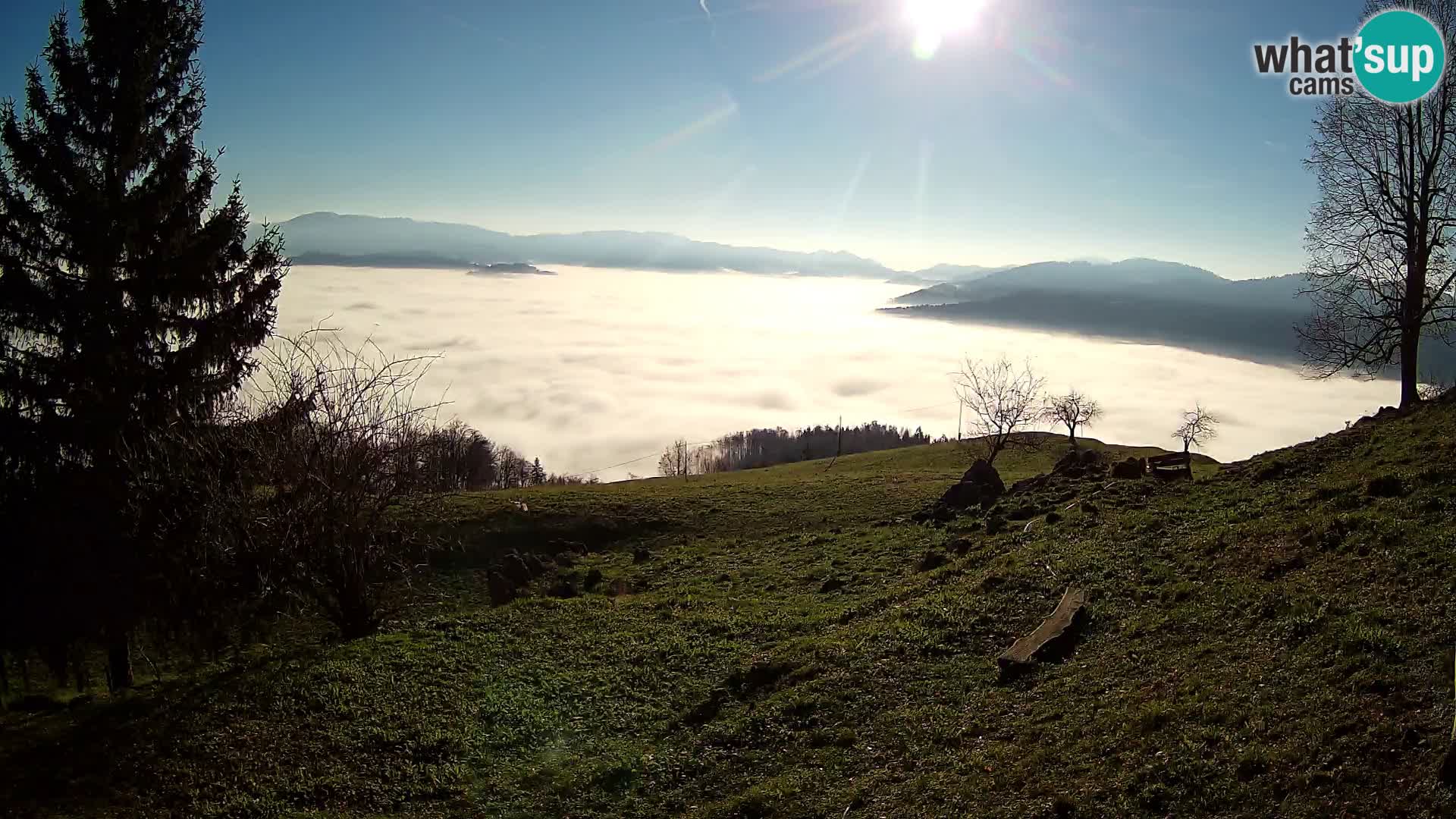 Slajka webam | Gorenja vas | Slovenia