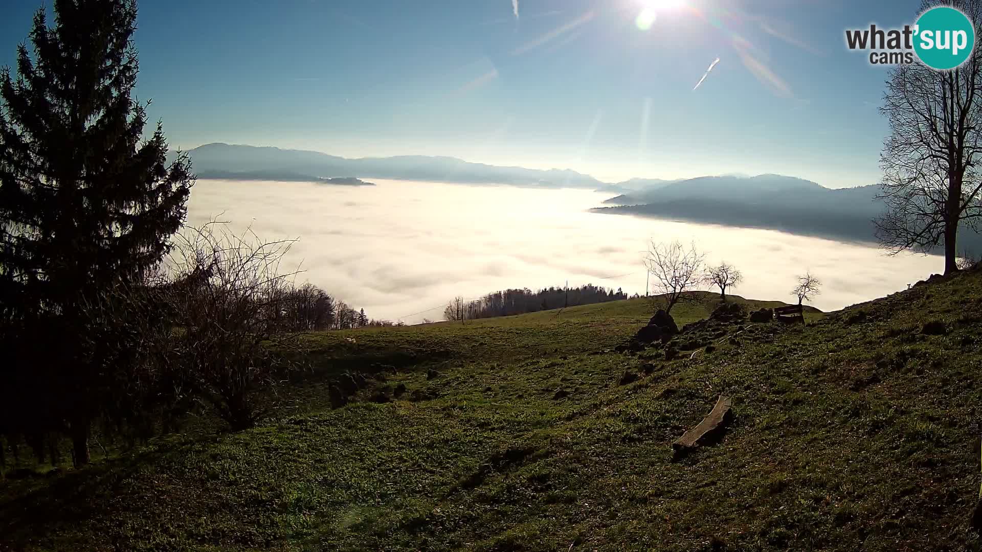 Slajka webam | Gorenja vas | Slovenia