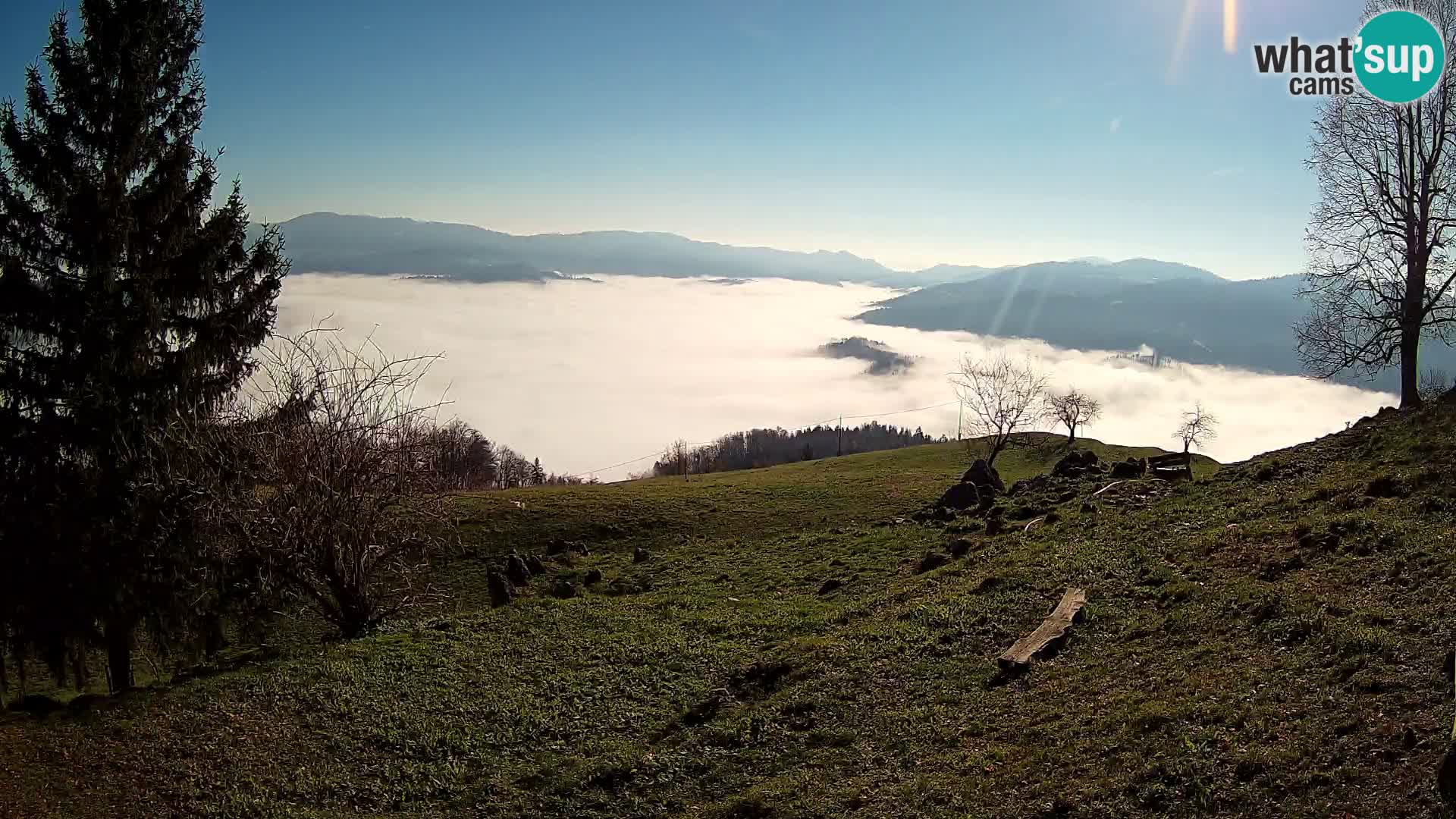 Slajka web kamera | Gorenja Vas | Slovenija