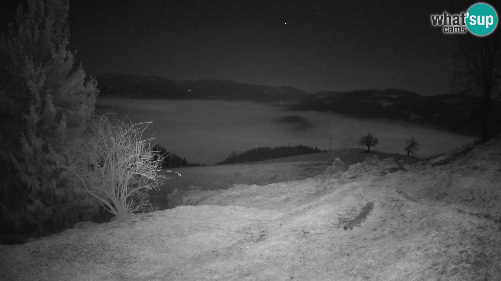 Slajka livecam | Gorenja Vas | Slovénie