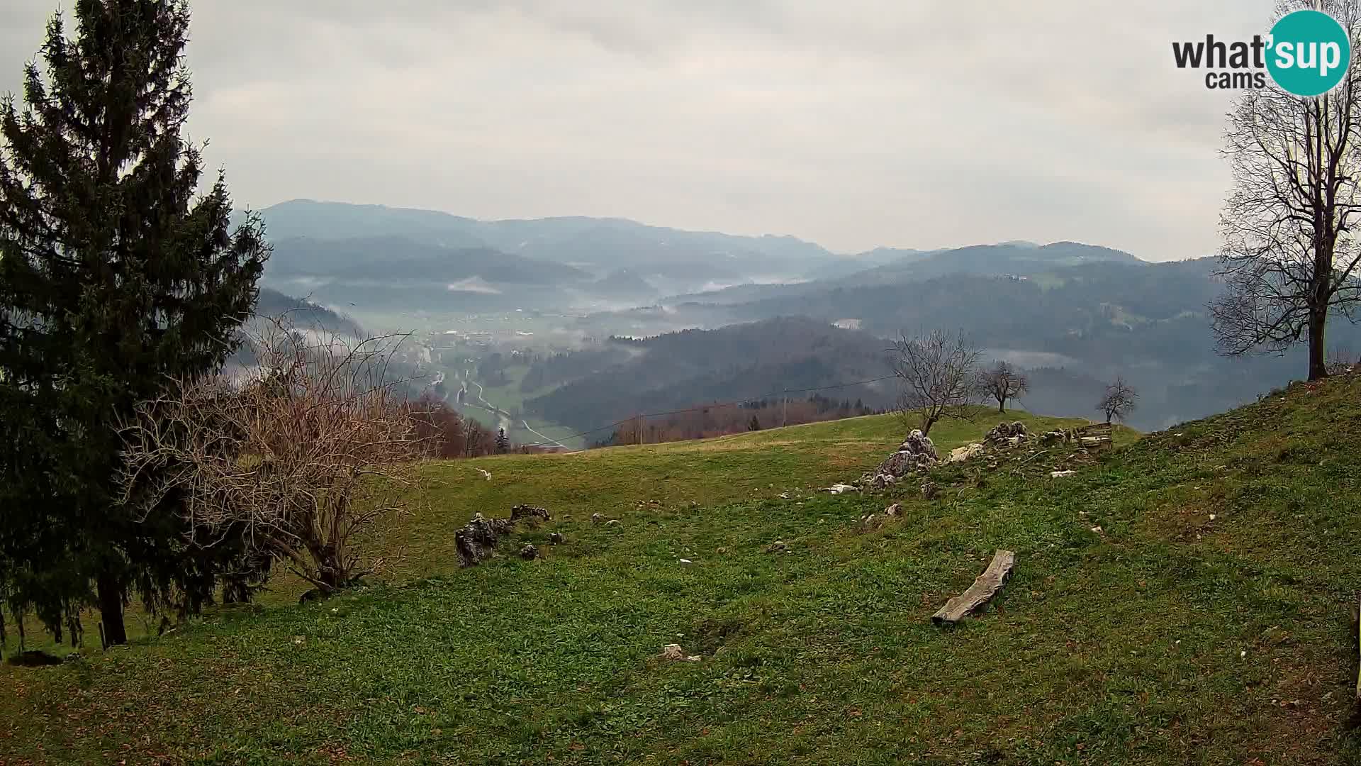 Slajka webam | Gorenja vas | Slovenia