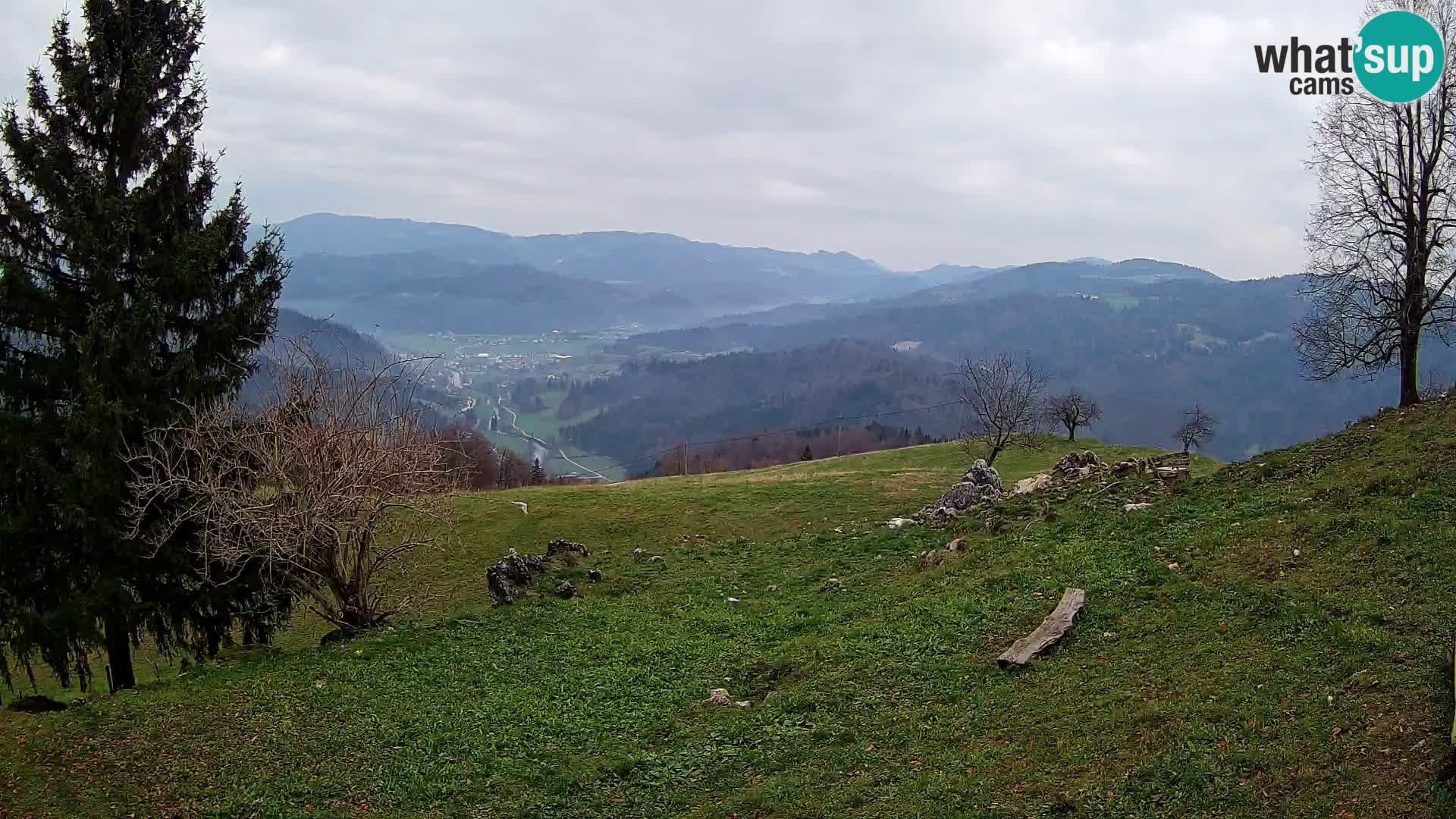 Slajka webam | Gorenja vas | Slovenia