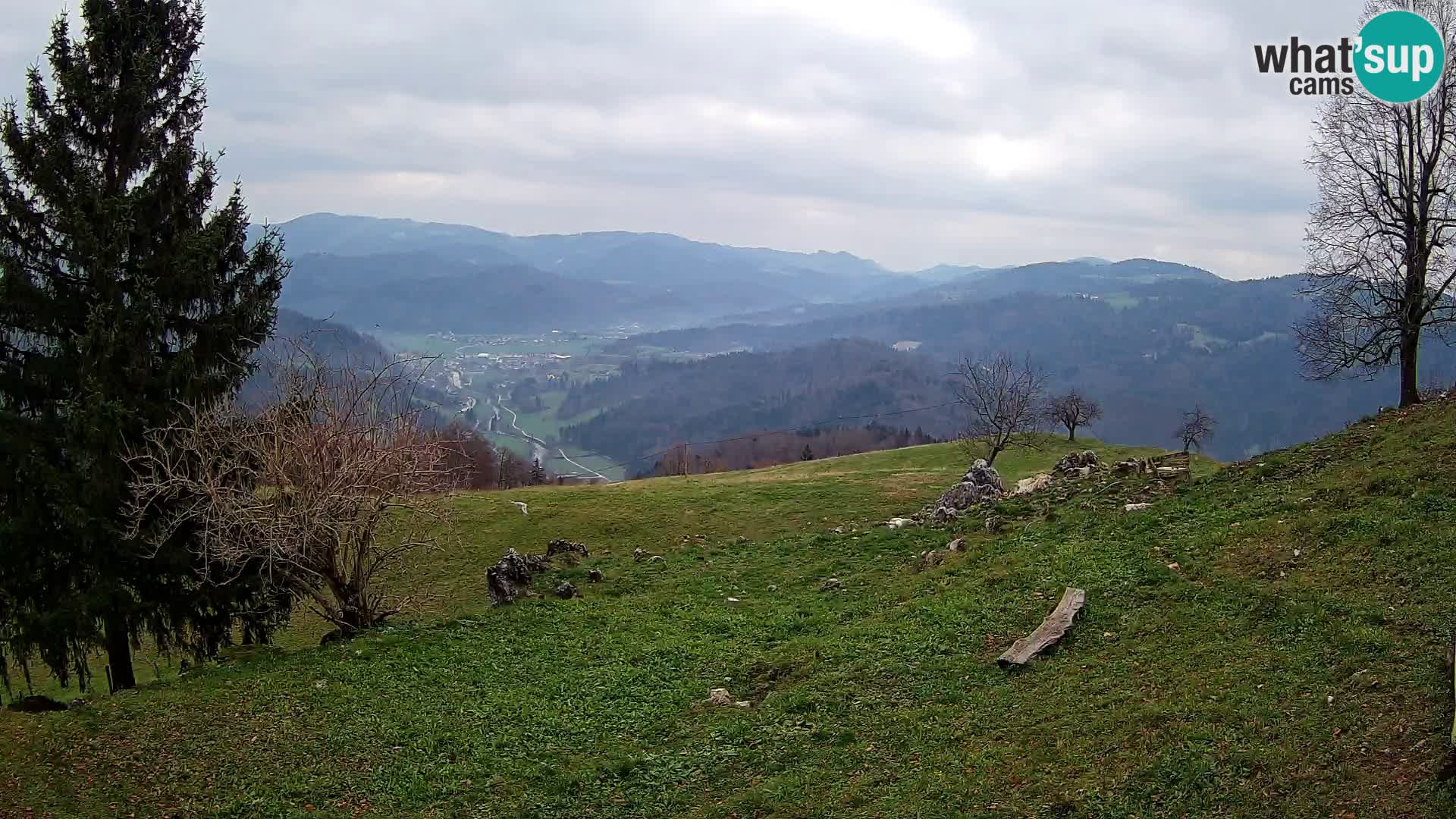 Slajka camera en vivo | Gorenja Vas | Eslovenia