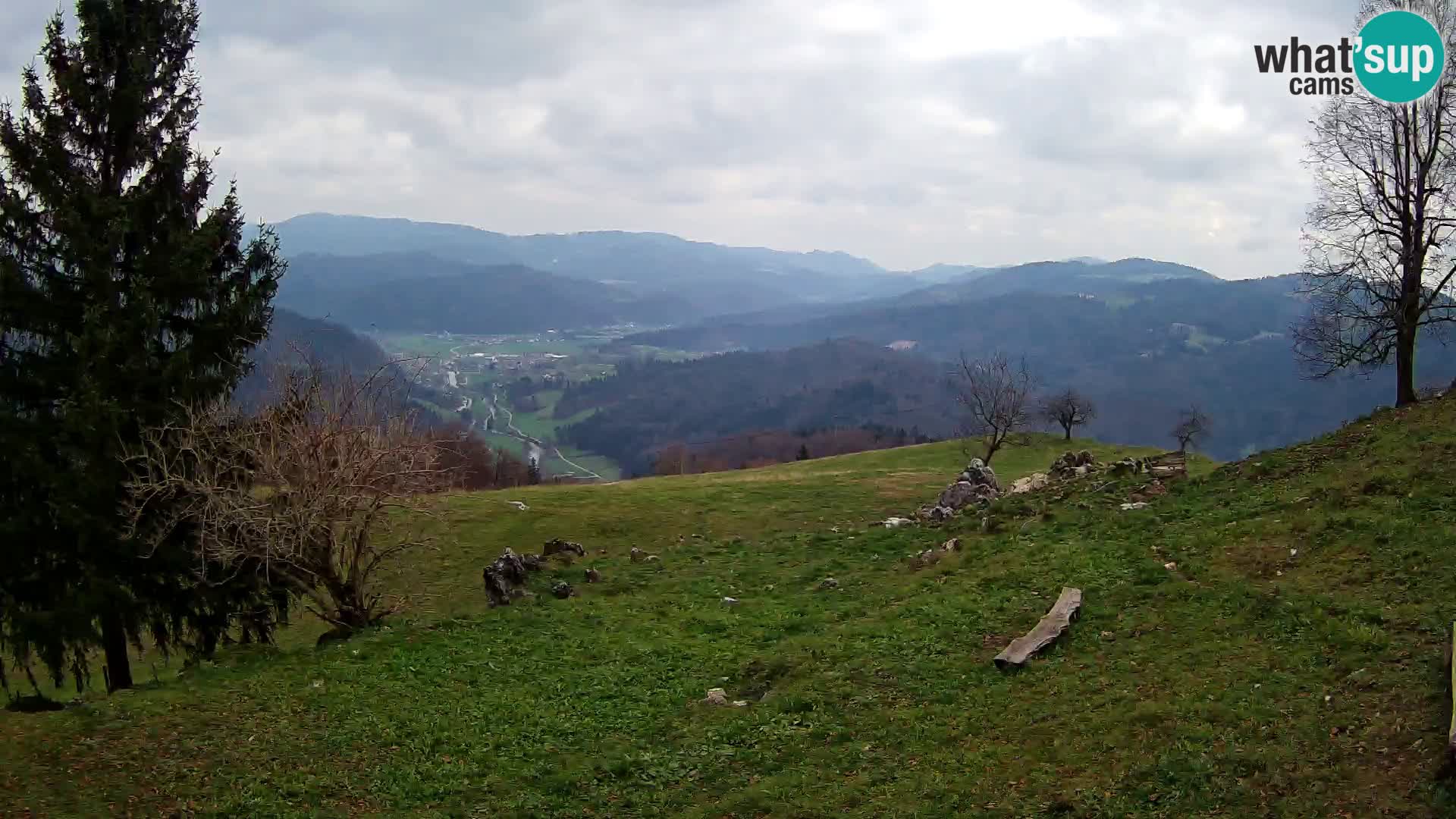 Slajka webam | Gorenja vas | Slovenia