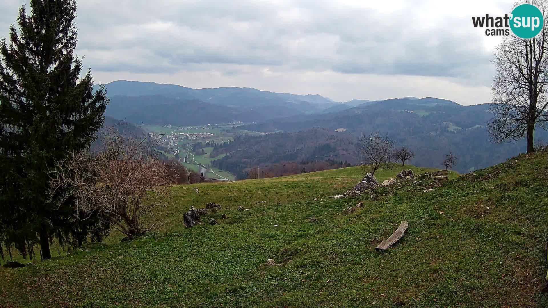 Slajka webam | Gorenja vas | Slovenia