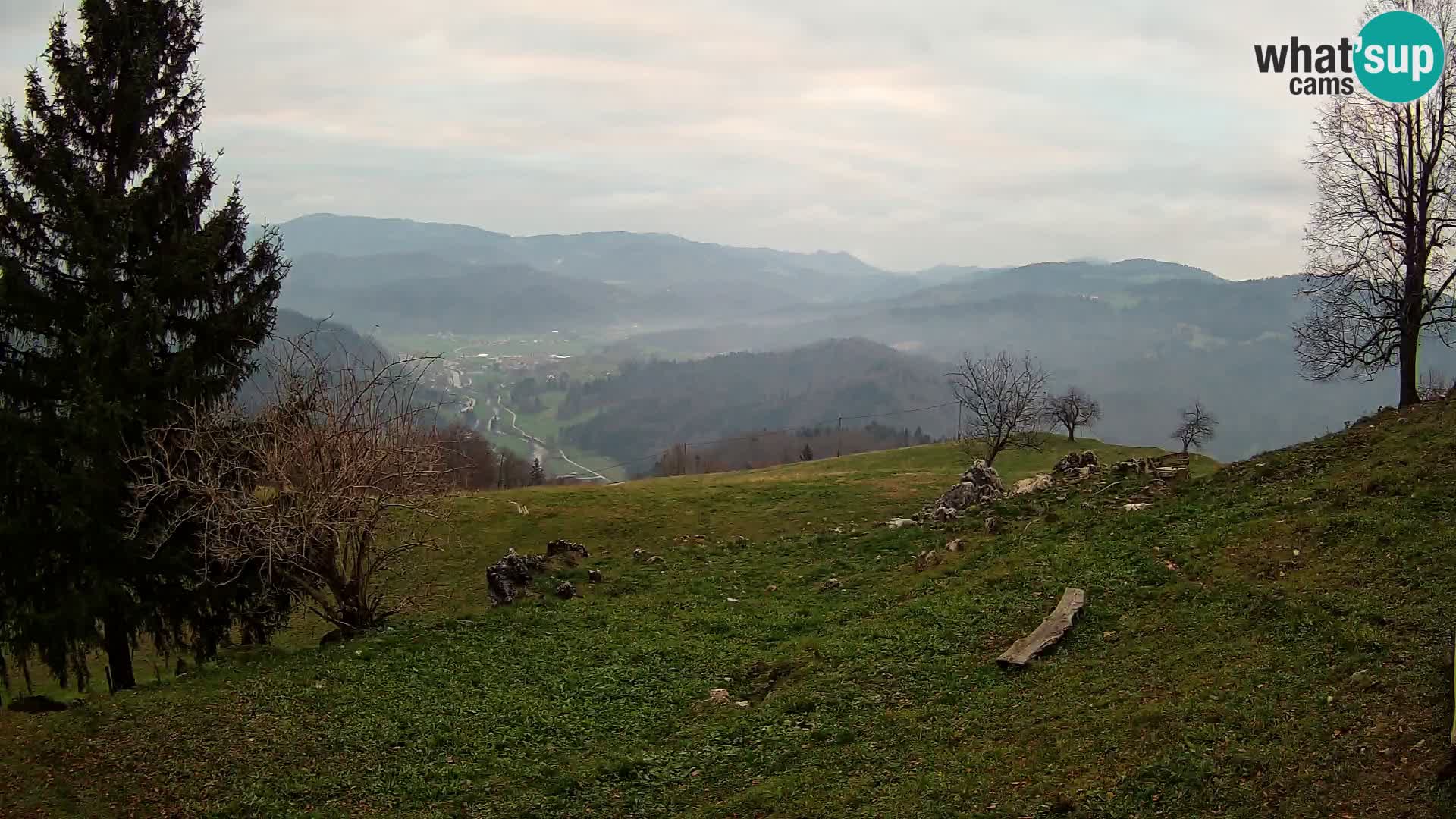 Slajka livecam | Gorenja Vas | Slovénie