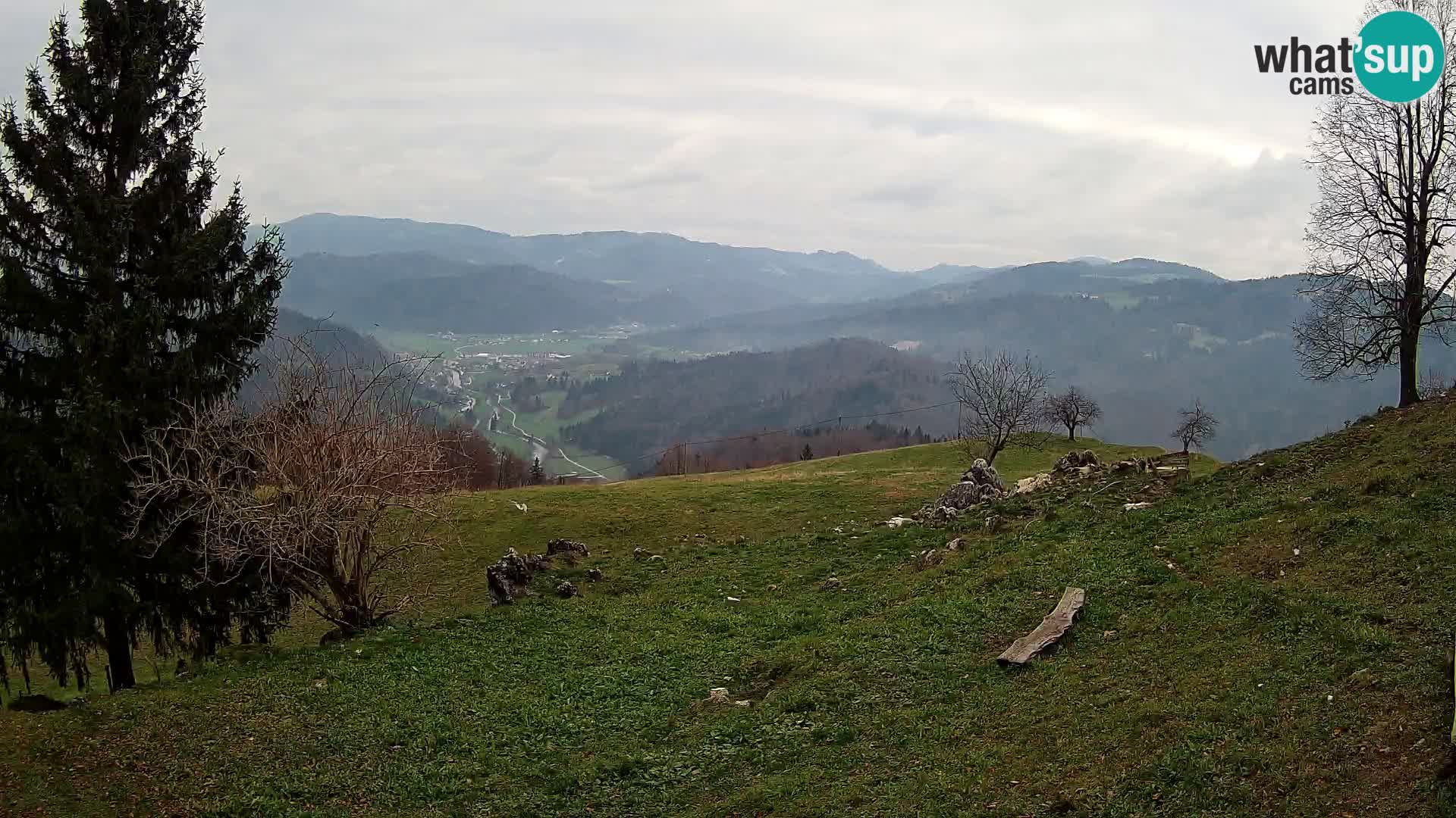 Slajka livecam | Gorenja Vas | Slovénie