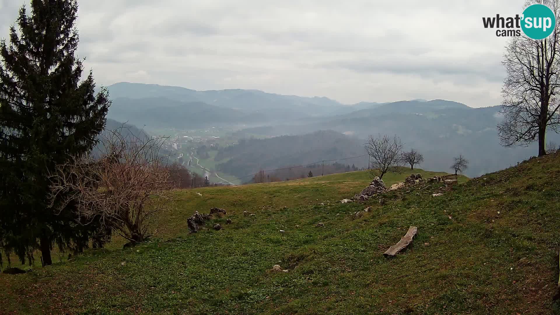 Slajka livecam | Gorenja Vas | Slovénie