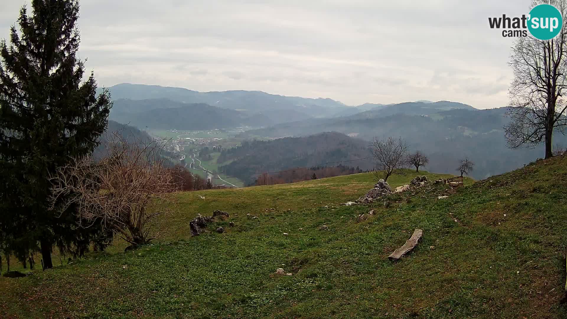 Slajka webam | Gorenja vas | Slovenia