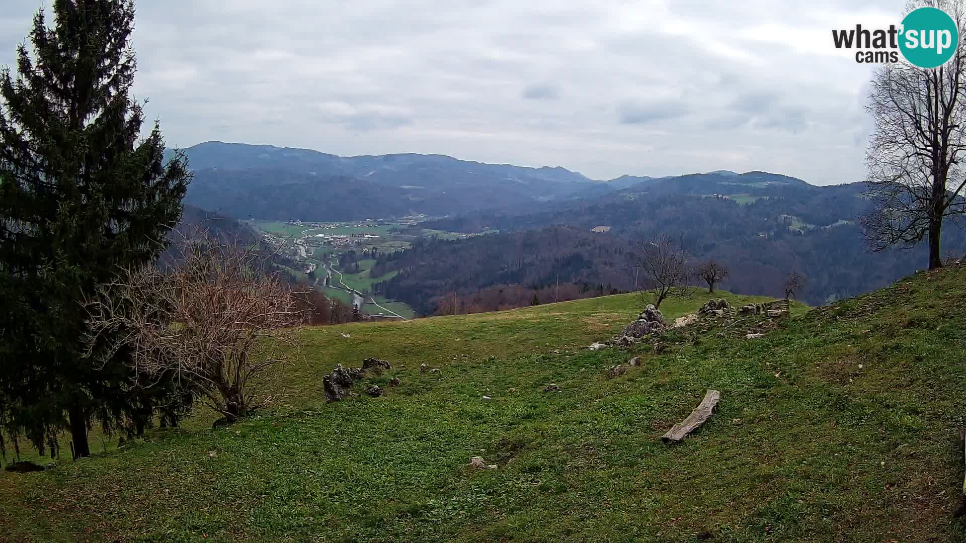 Slajka camera en vivo | Gorenja Vas | Eslovenia