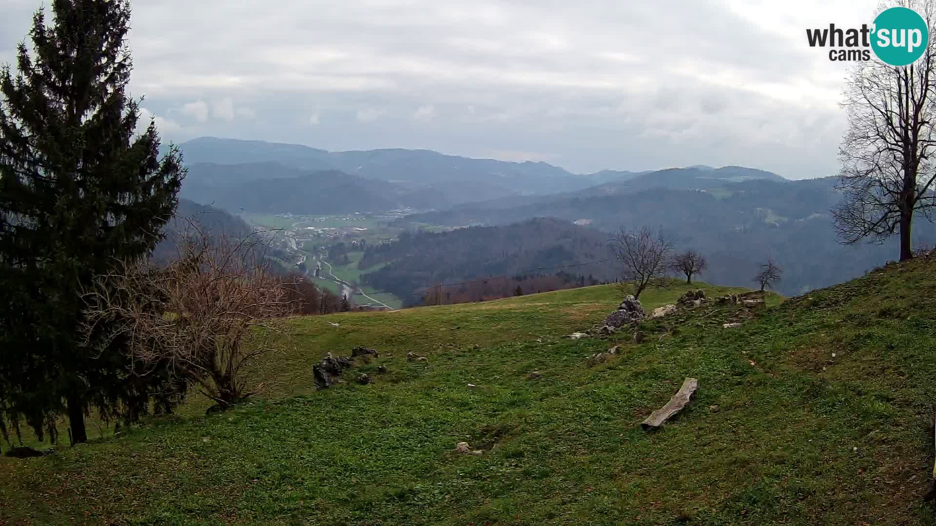 Slajka camera en vivo | Gorenja Vas | Eslovenia