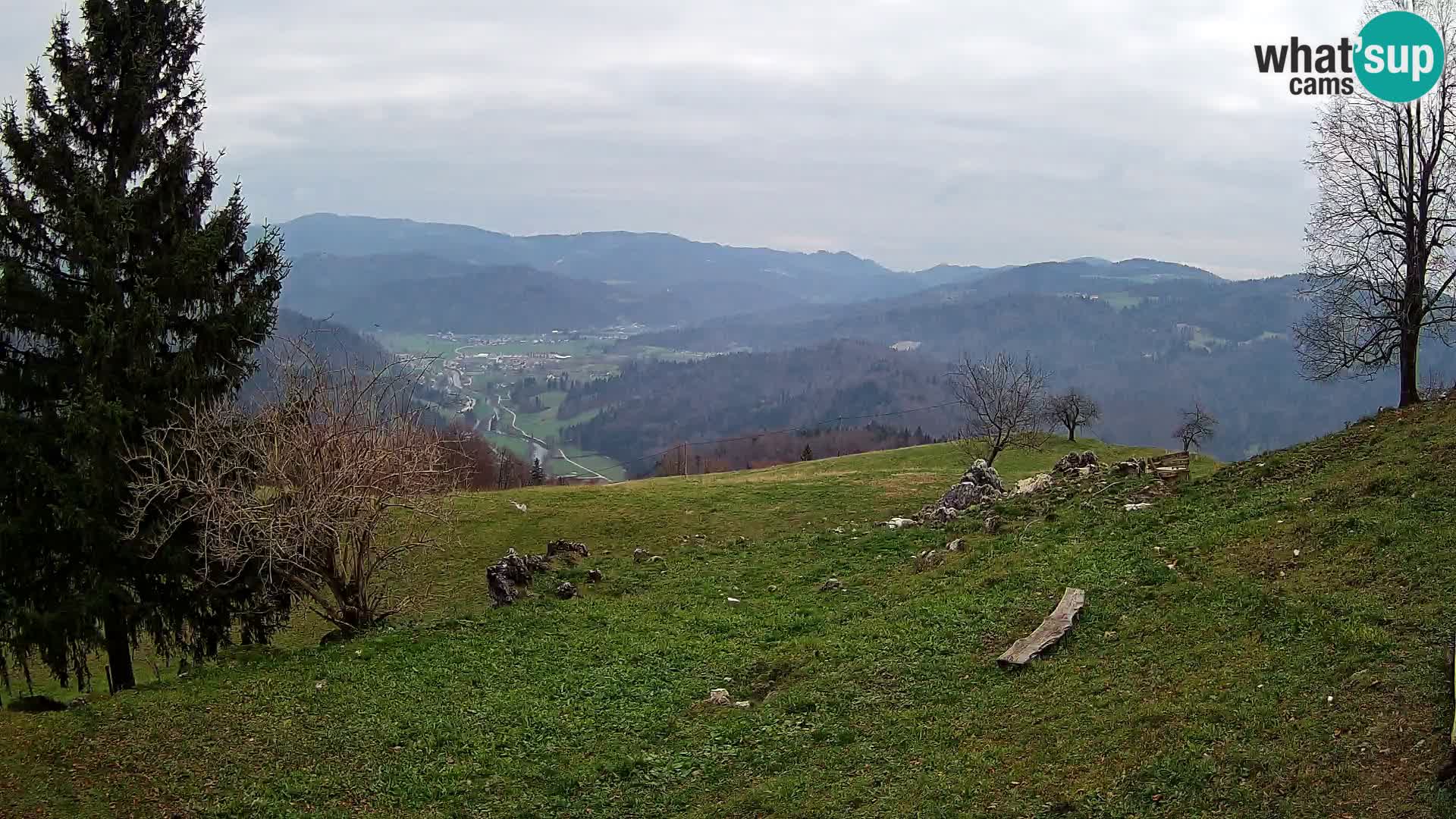 Slajka camera en vivo | Gorenja Vas | Eslovenia