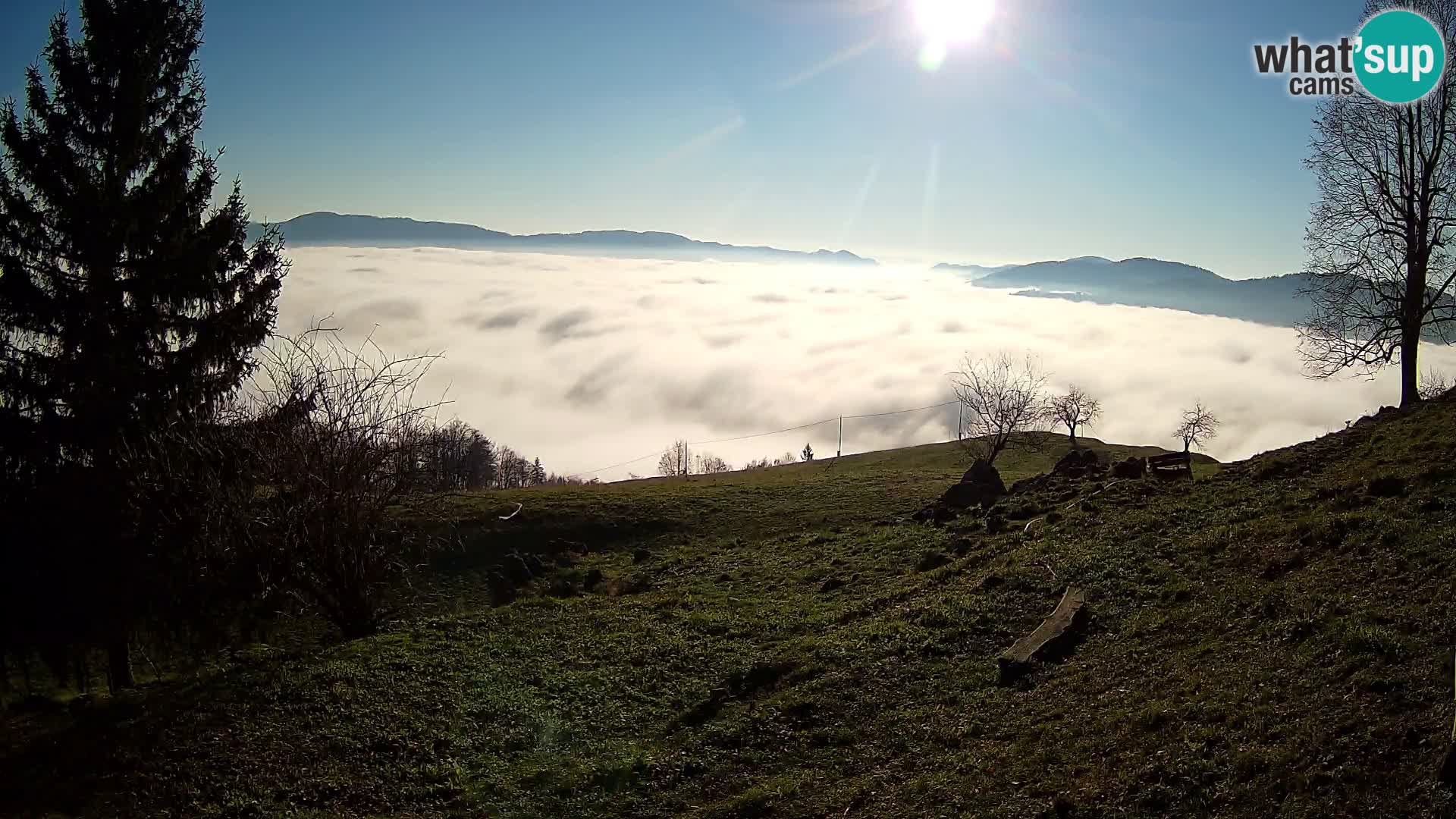 Slajka webcam | Gorenja Vas | Slowenien