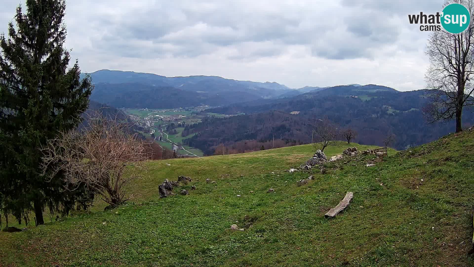 Slajka webam | Gorenja vas | Slovenia