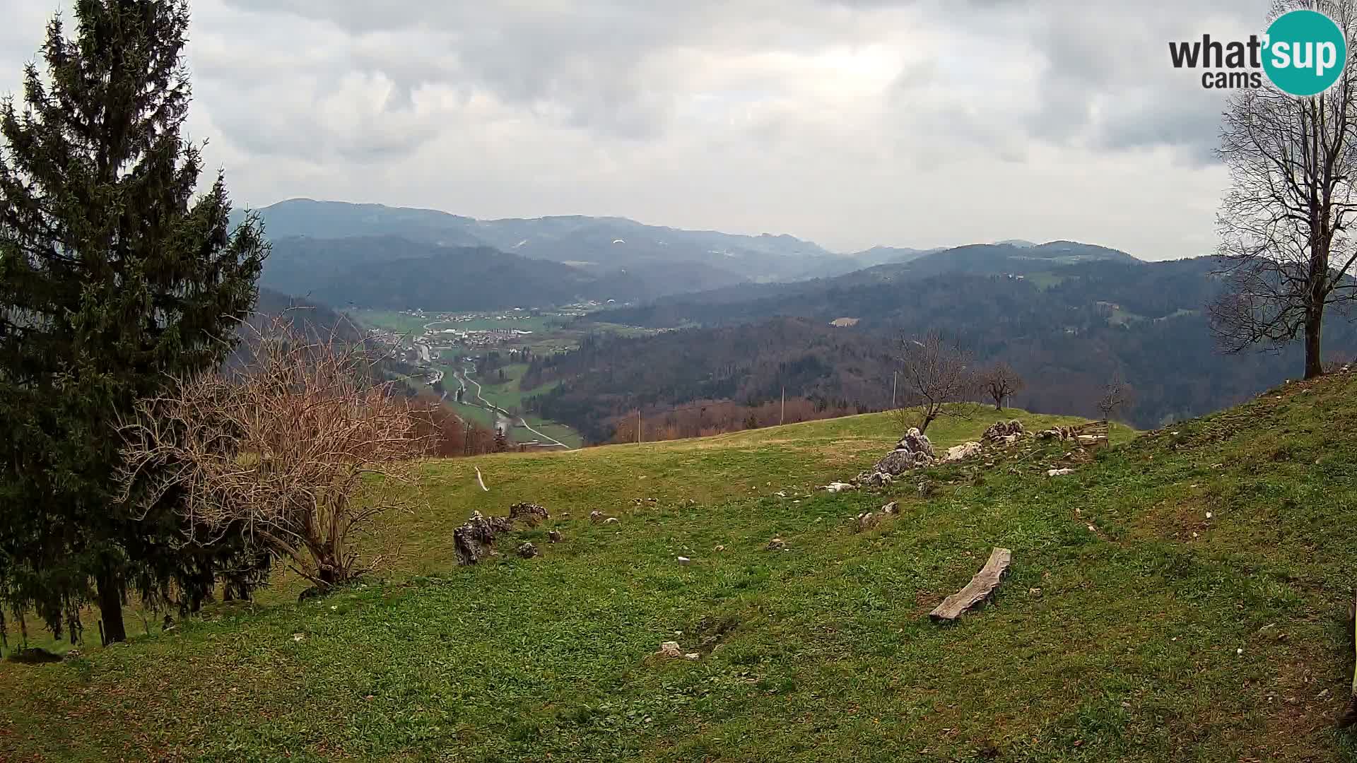 Slajka camera en vivo | Gorenja Vas | Eslovenia