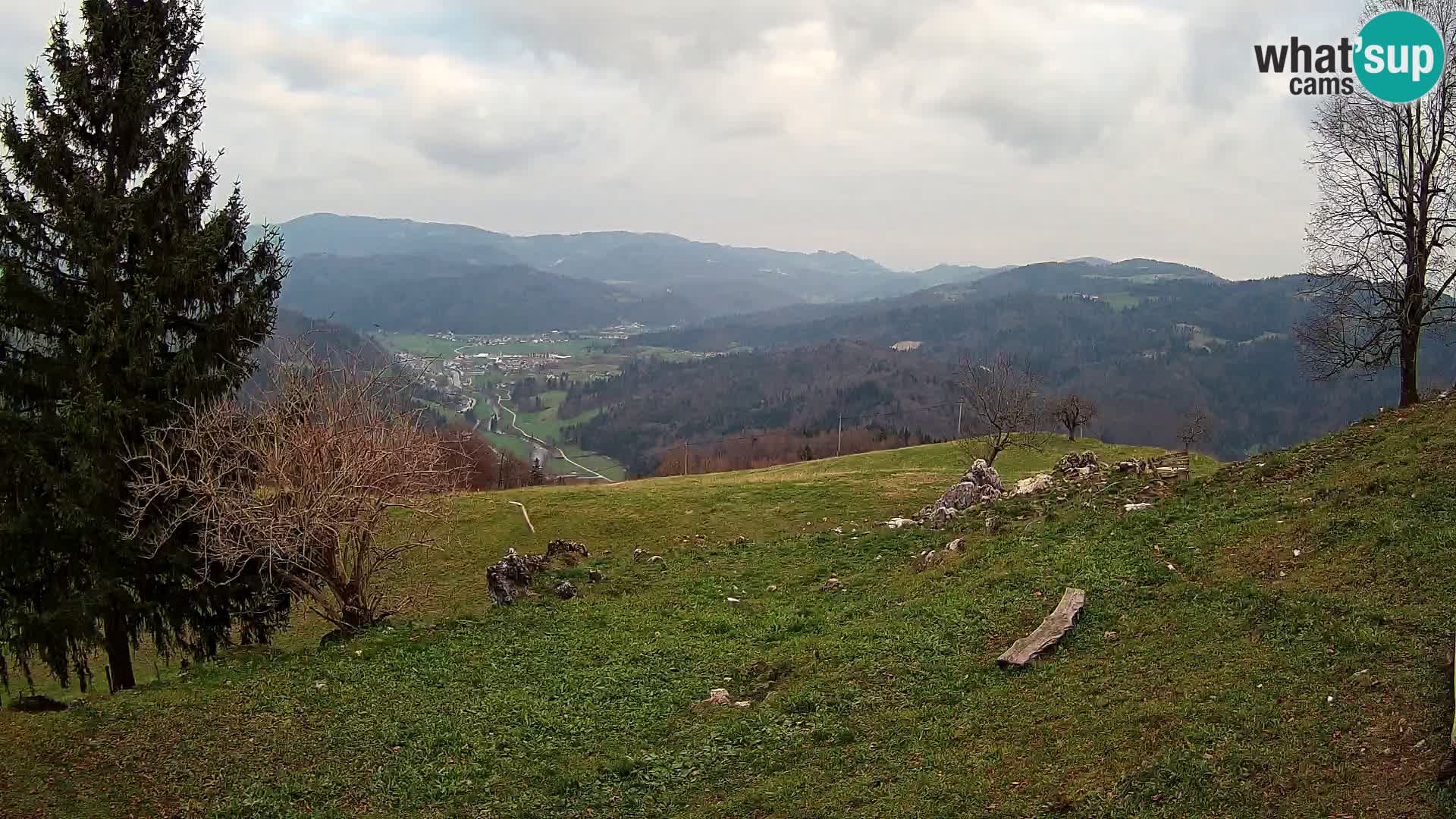 Slajka webam | Gorenja vas | Slovenia