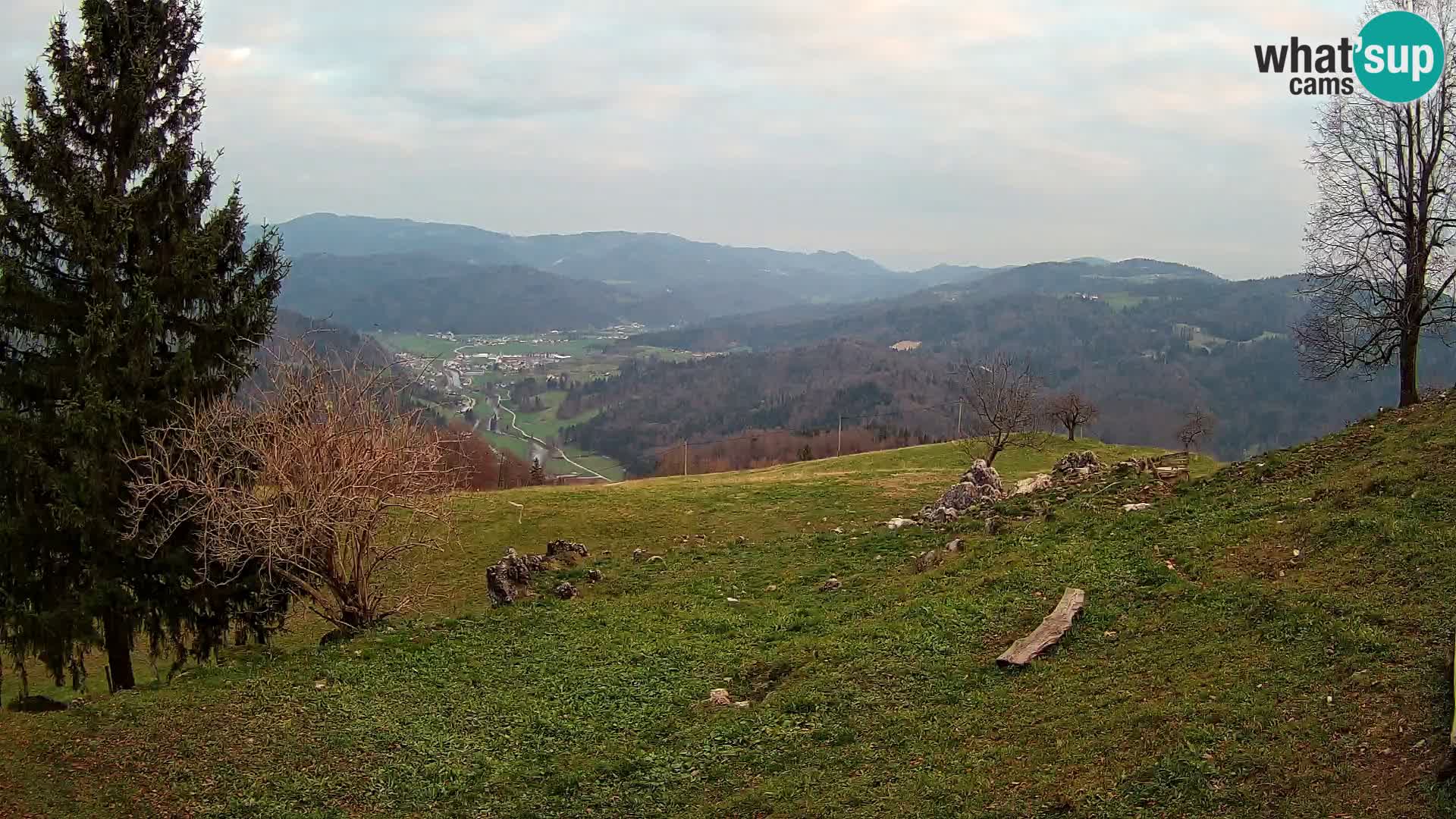 Slajka camera en vivo | Gorenja Vas | Eslovenia