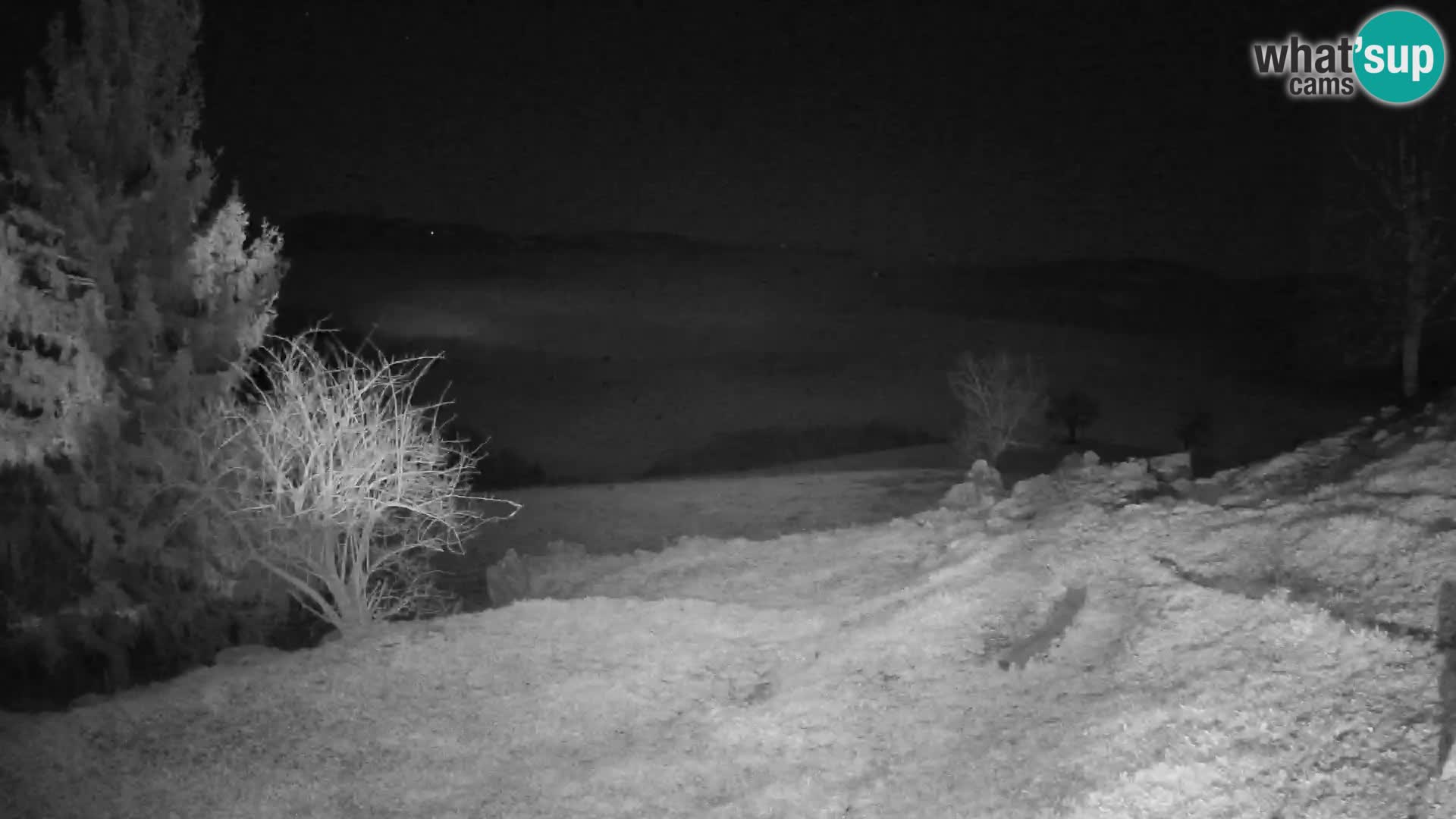 Spletna kamera Slajka | Gorenja vas