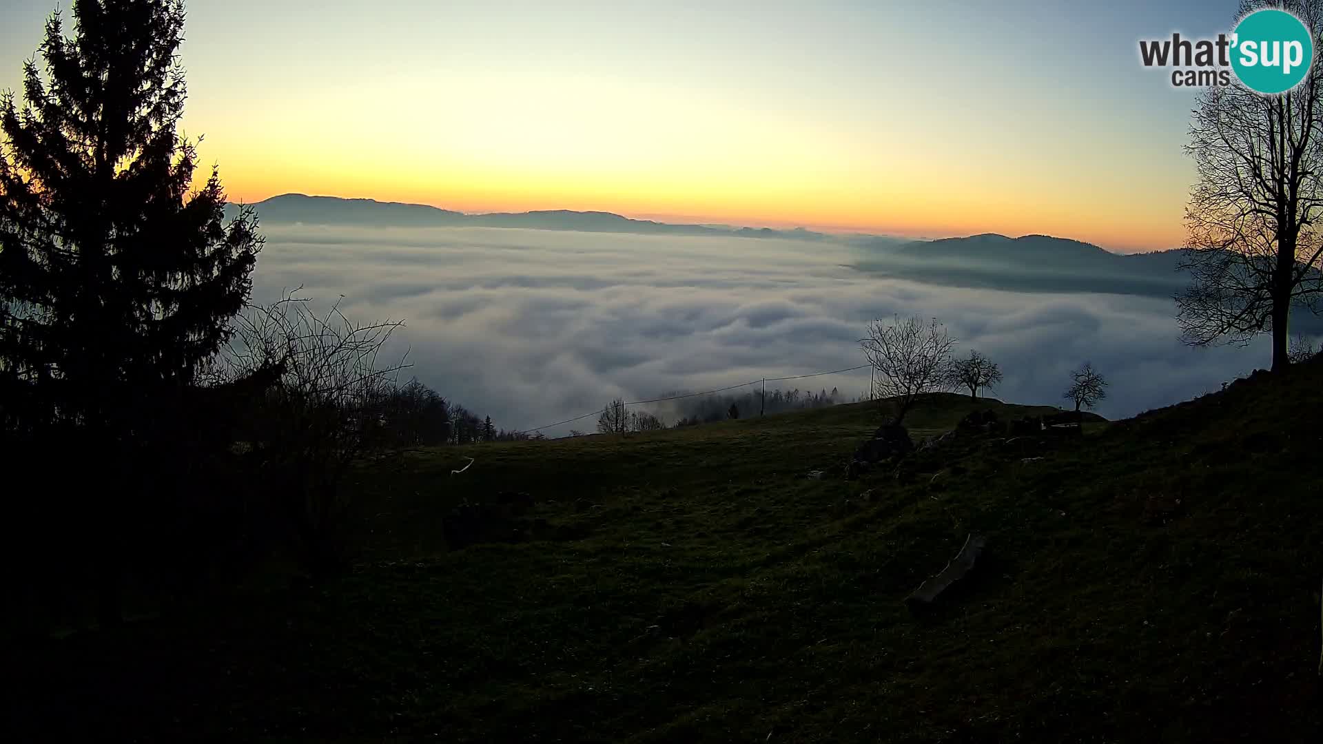 Slajka camera en vivo | Gorenja Vas | Eslovenia