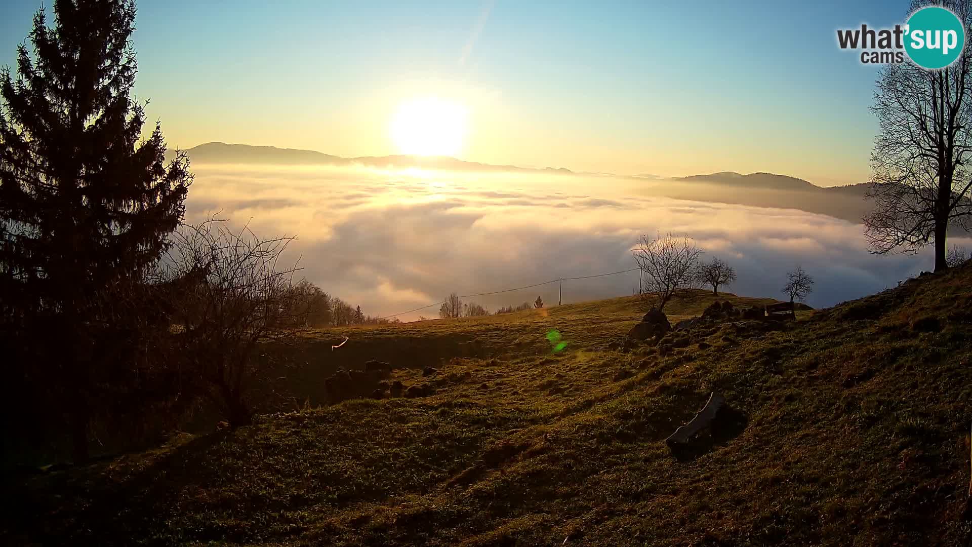Slajka livecam | Gorenja Vas | Slovénie