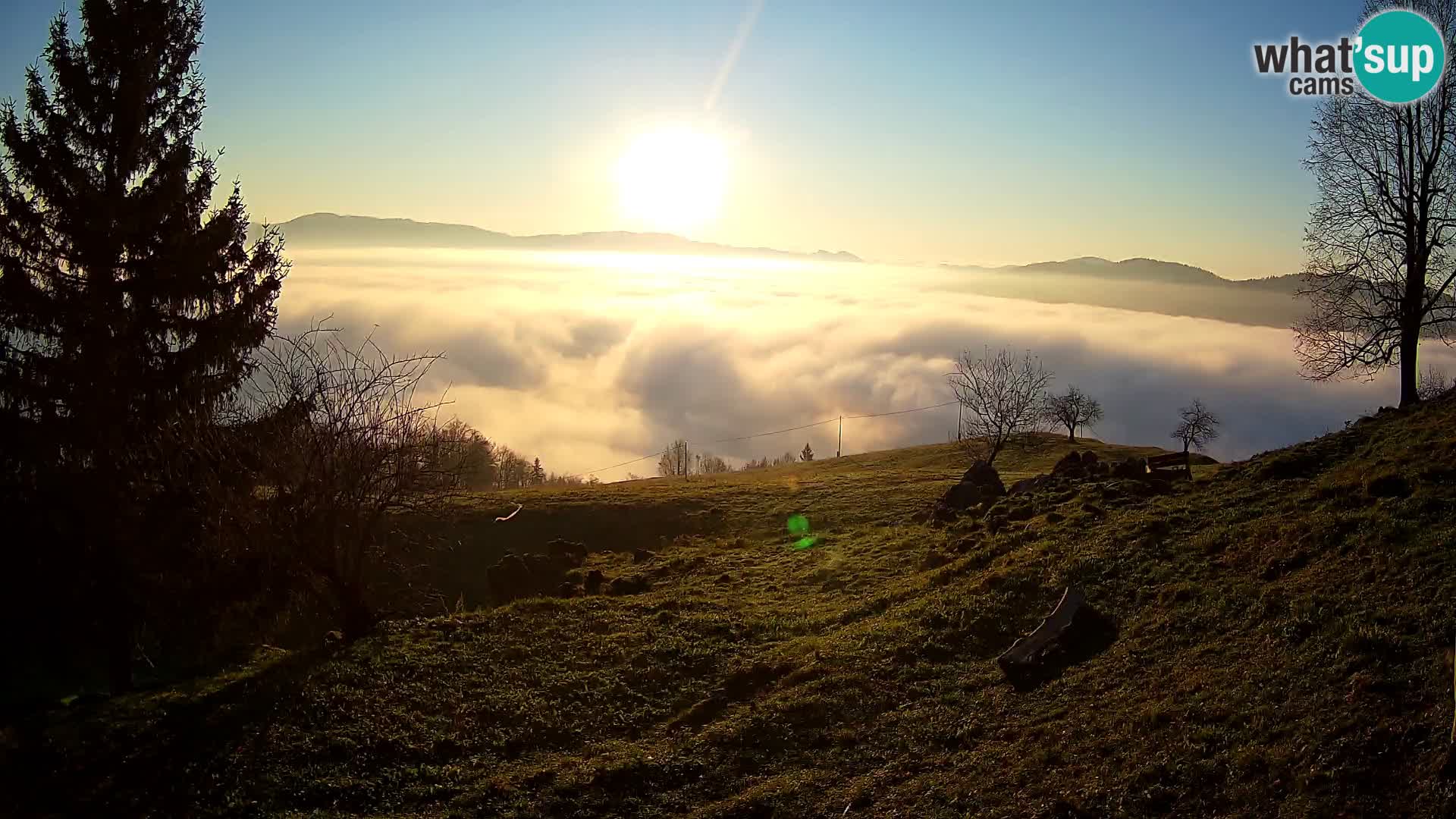 Slajka webam | Gorenja vas | Slovenia