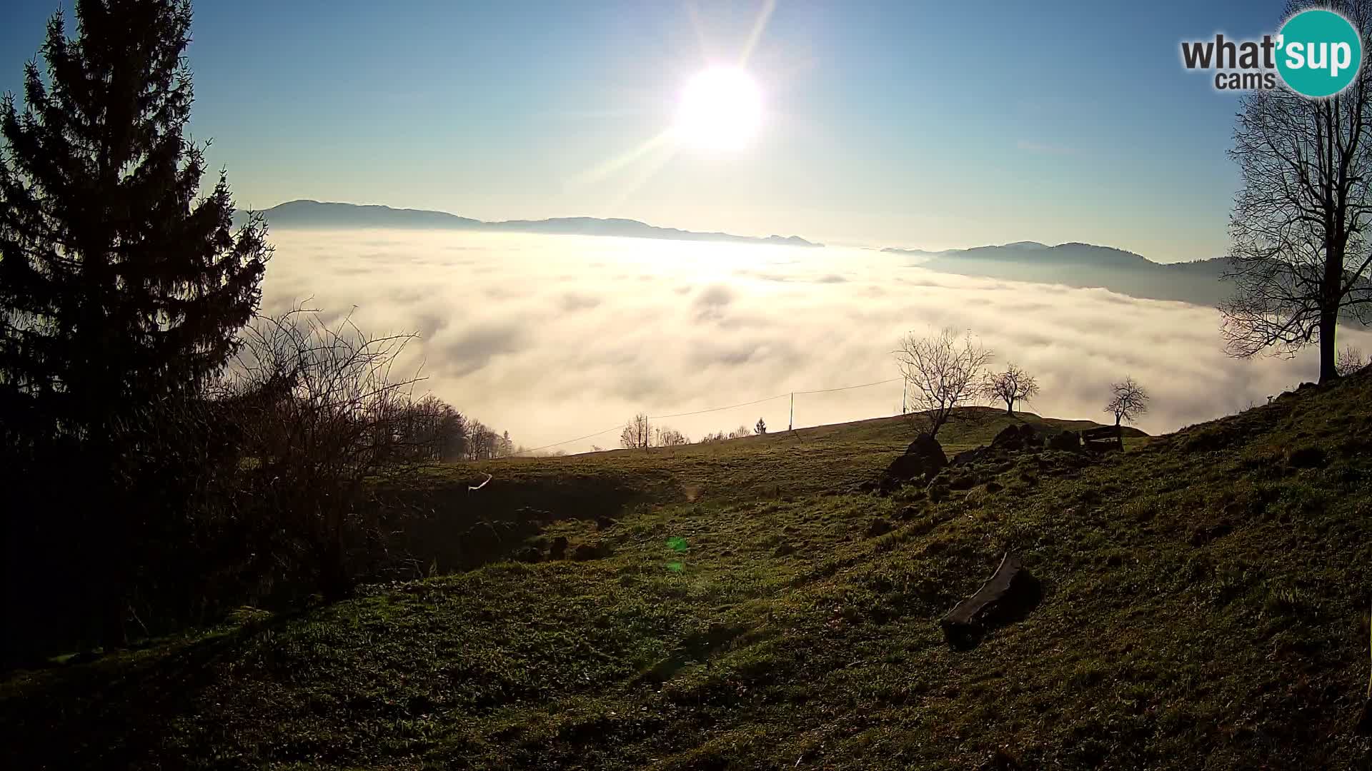 Slajka webam | Gorenja vas | Slovenia